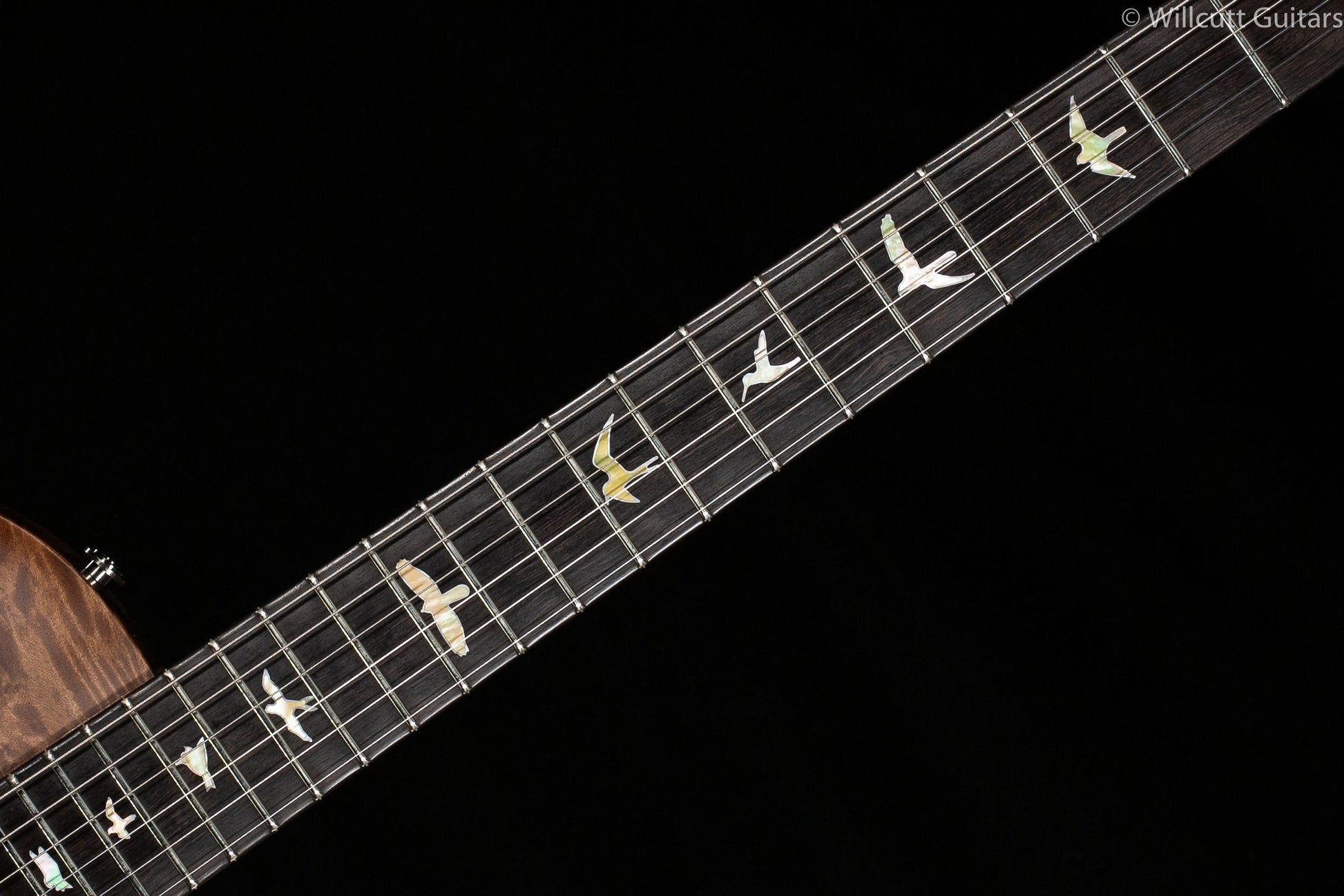 PRS Private Stock 8767 Tremonti Semi-Hollow Burl