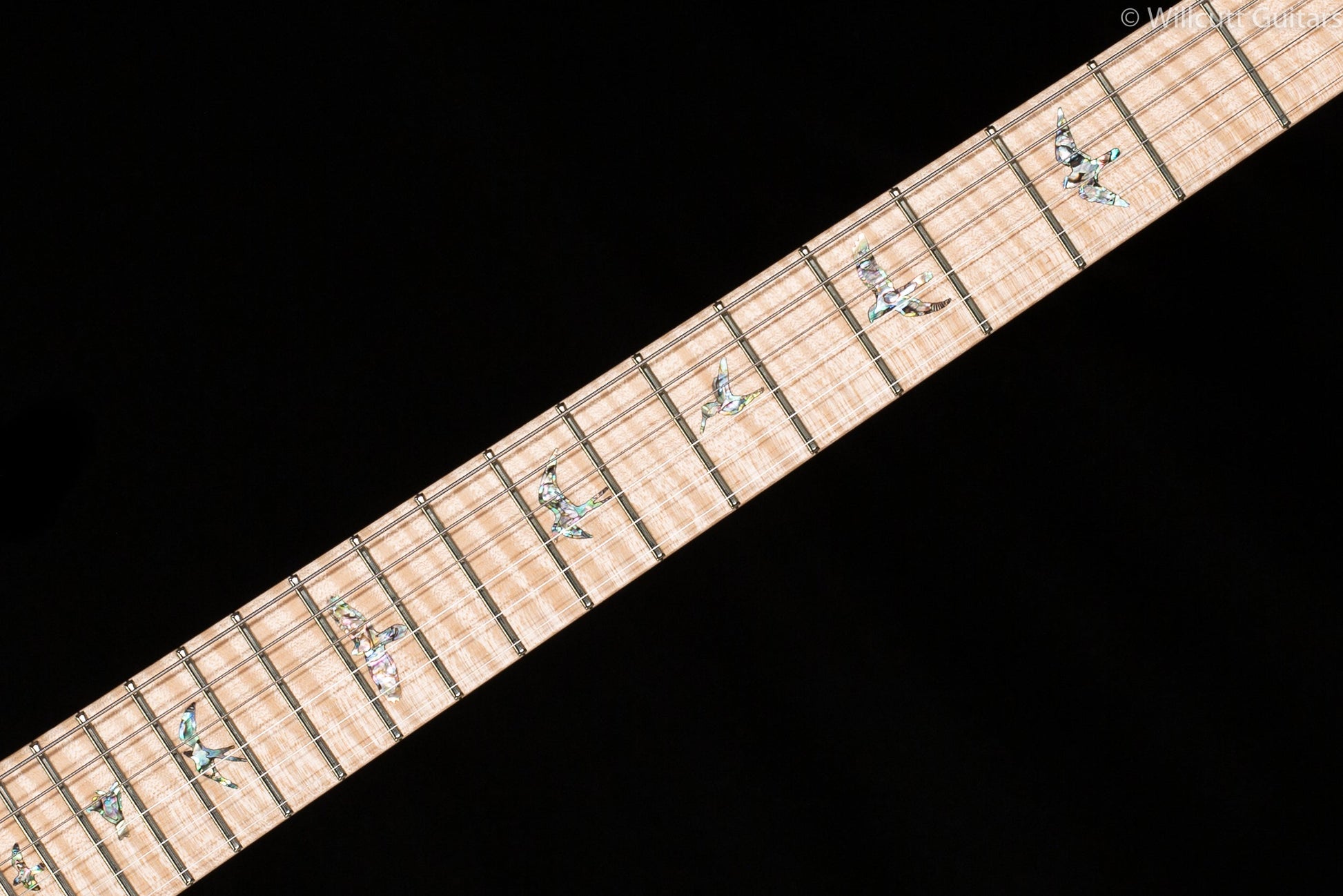 PRS Custom 24-08 River Blue Flamed Maple Neck