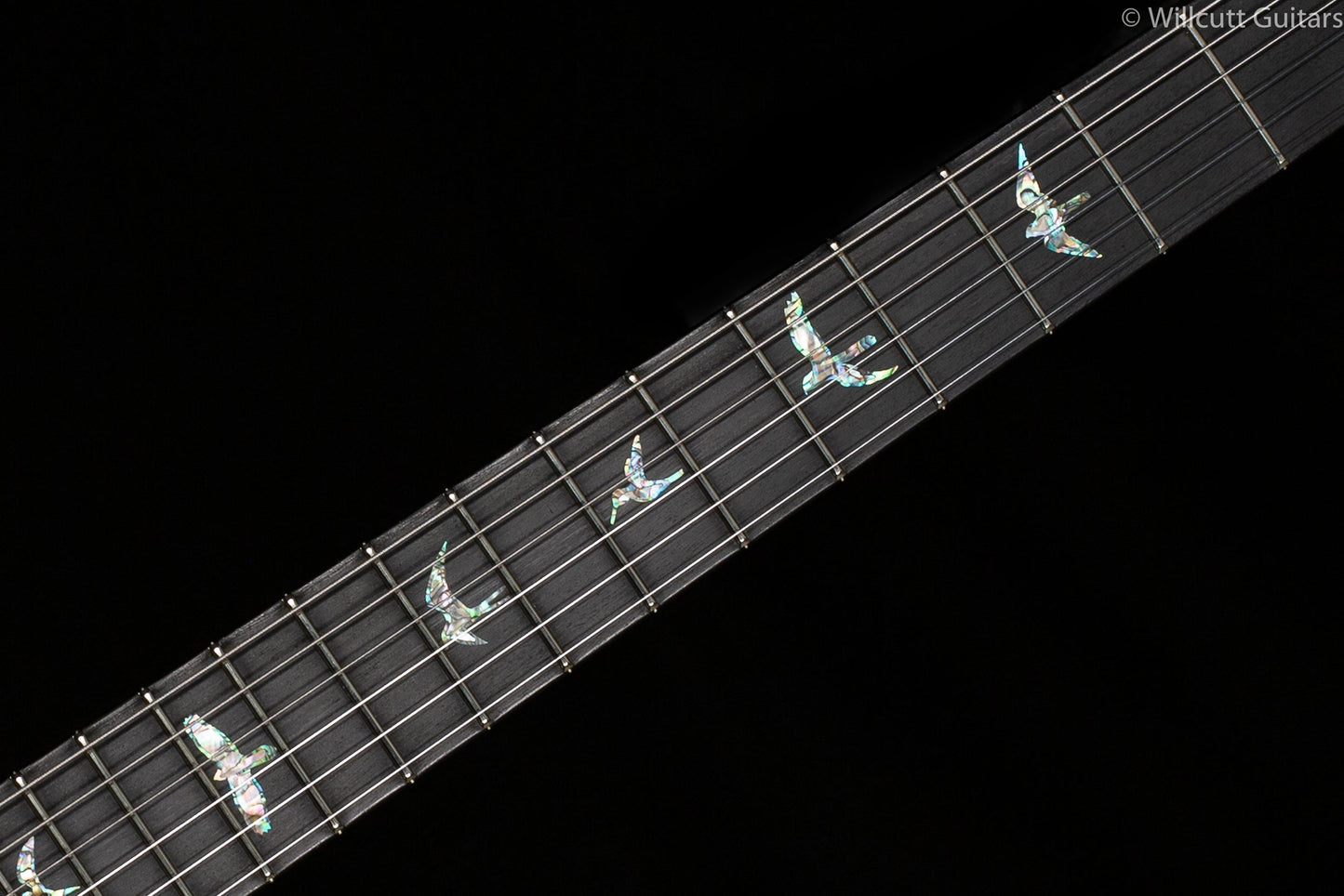 PRS Tremonti Signature Artist Package Flame Maple Top Whale Blue