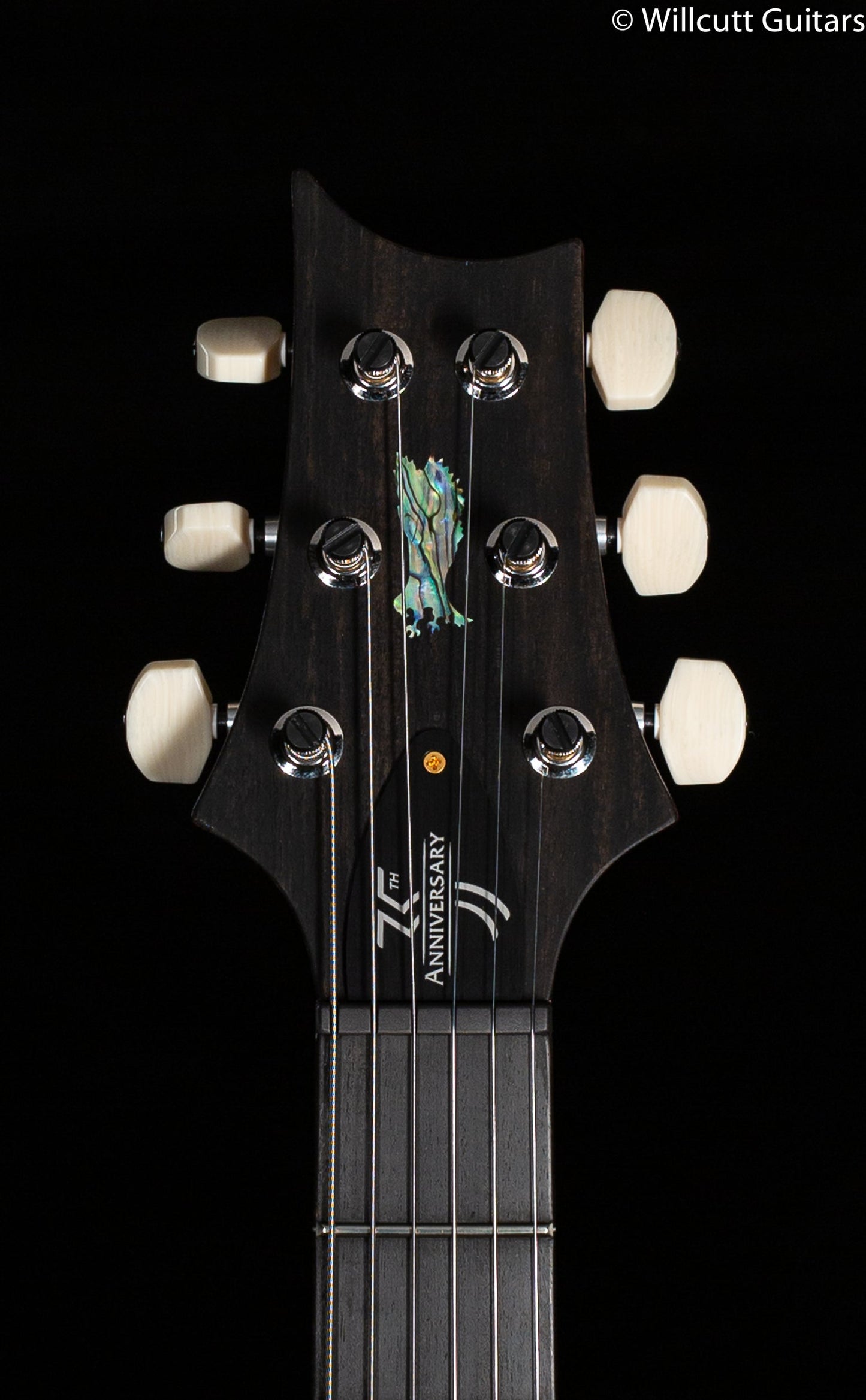 PRS 35th Anniversary Custom 24 Autumn Sky Artist Package