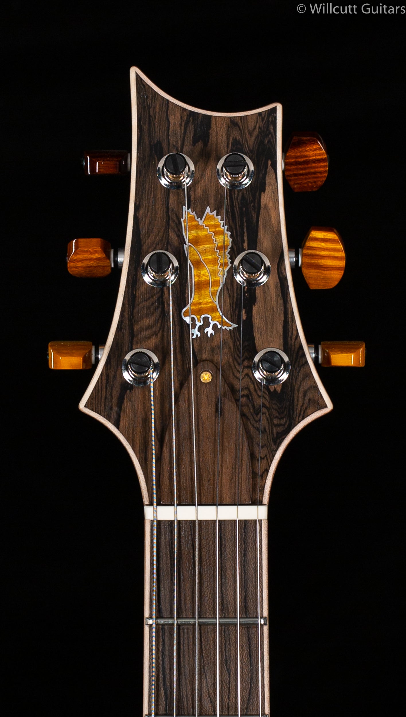 PRS Private Stock 8964 DGT McCarty Dragon's Breath