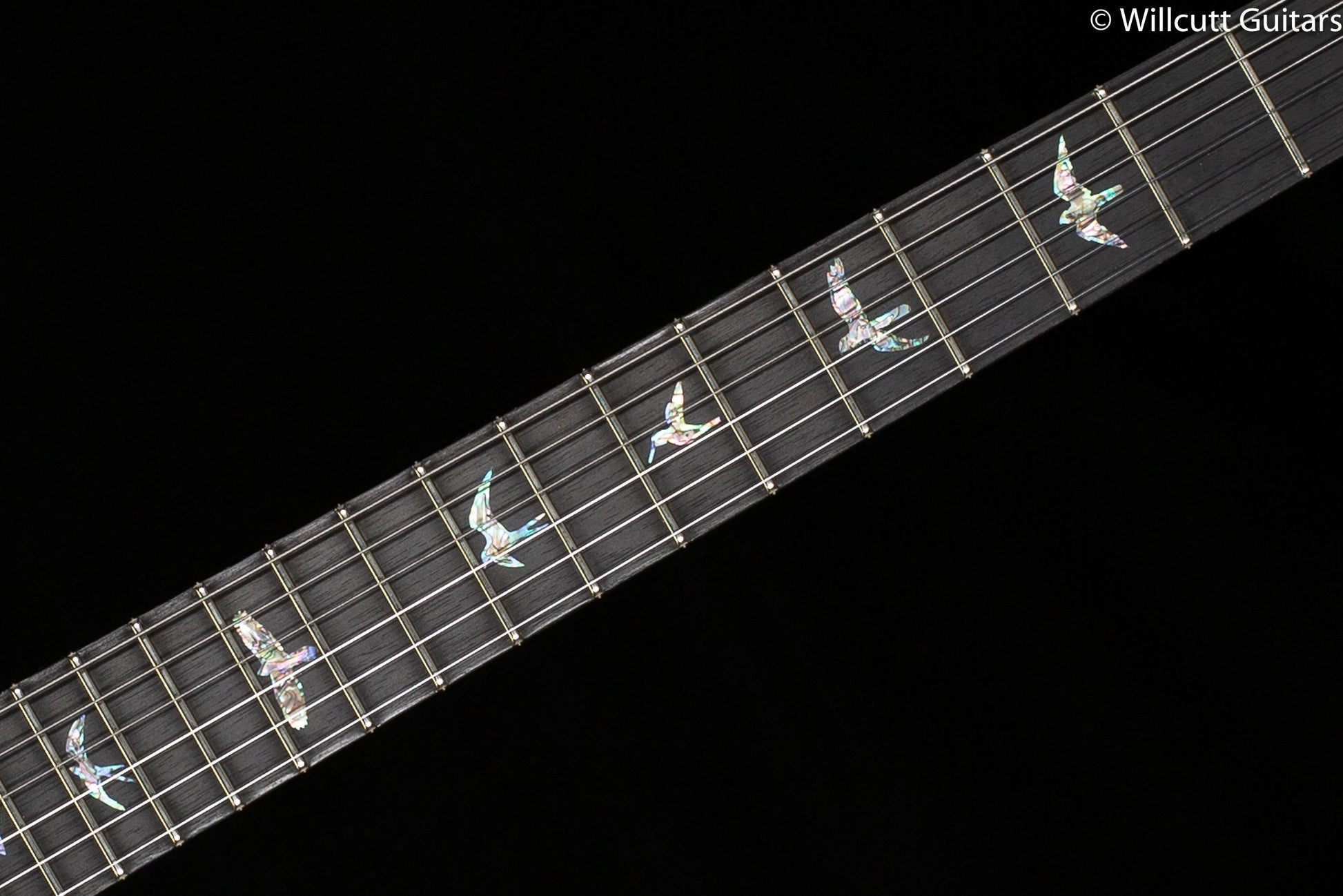 PRS Custom 24 Piezo River Blue Smokeburst Artist Package