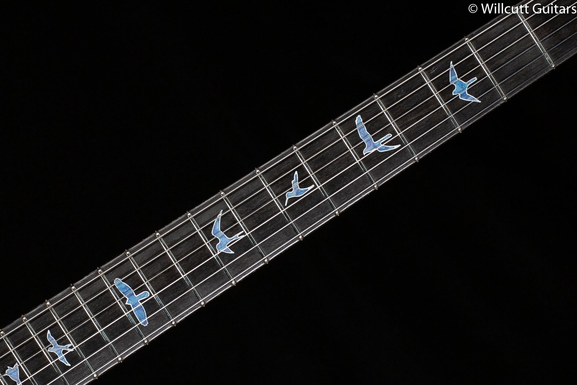 PRS Private Stock 8638 Special Semi Hollow Aqua Violet Glow