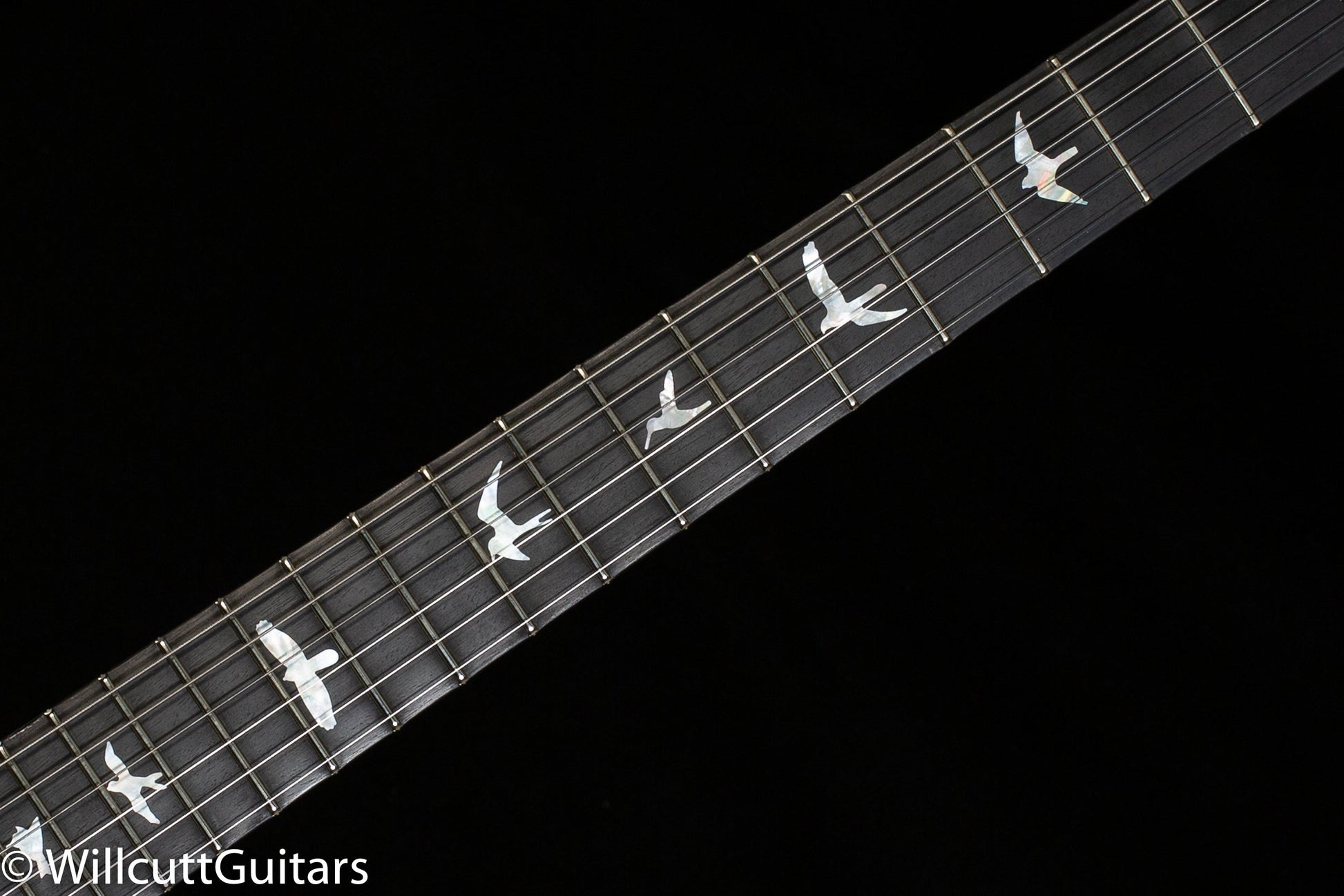 PRS Tremonti Wood Library Edition River Blue Roasted Maple 10 Top