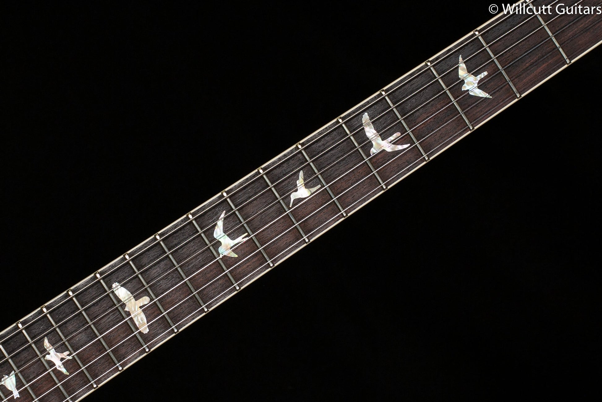PRS McCarty 594 Faded Whale Blue 10 Top