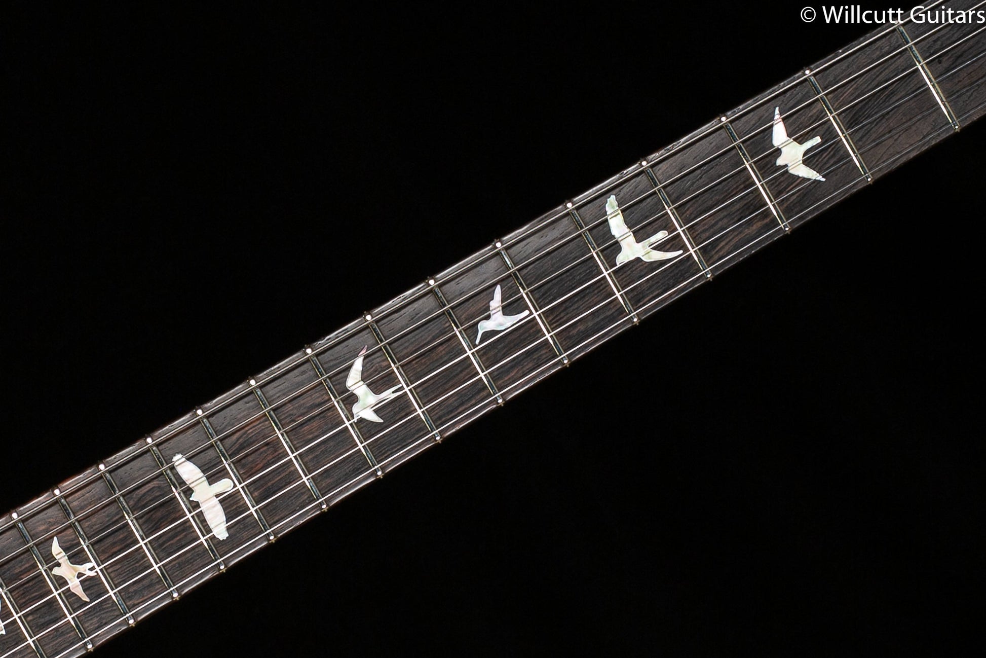 PRS Private Stock 8636 Modern Eagle Five McCarty Glow