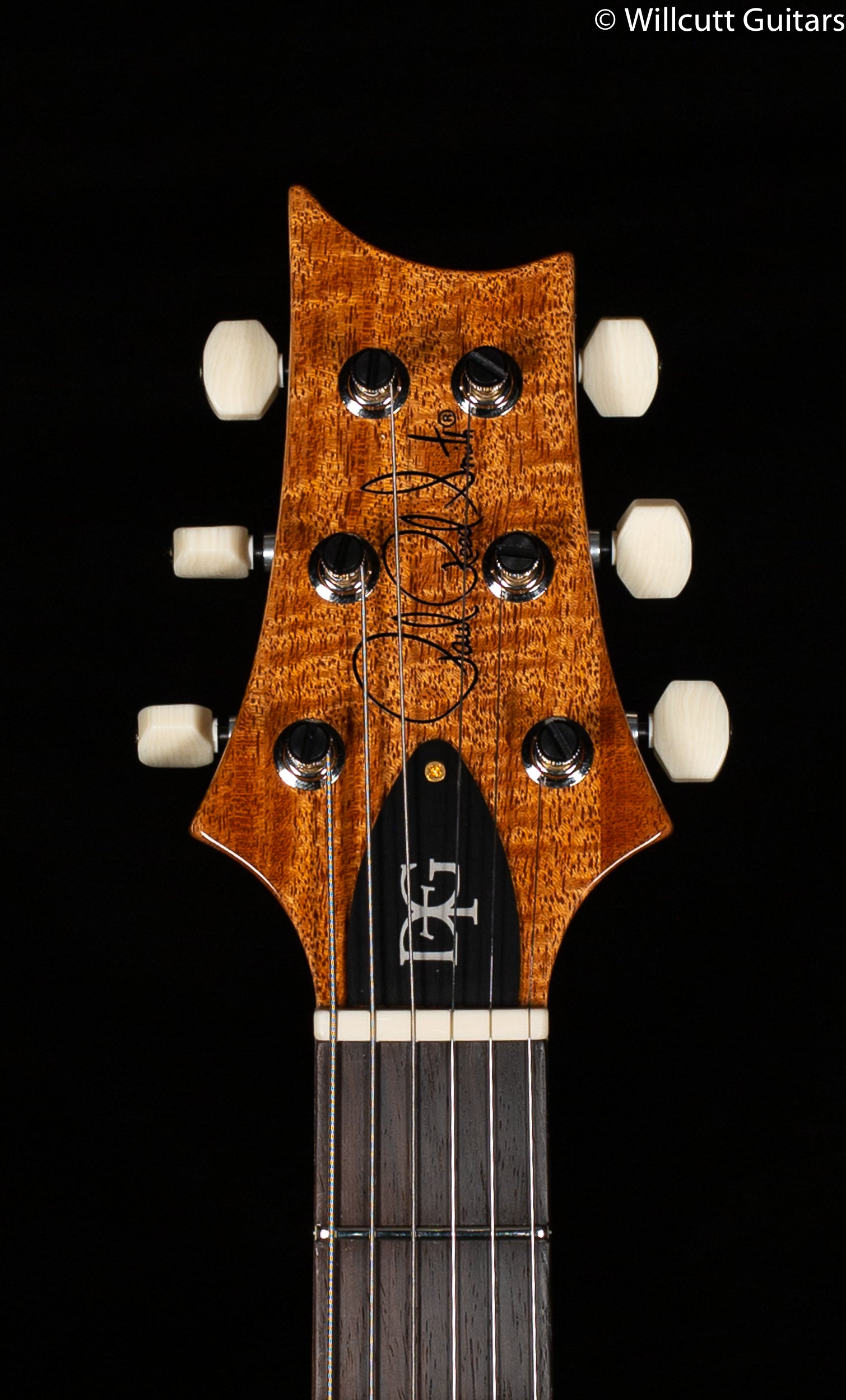 PRS DGT Wood Library Edition Charcoal Brazilian Fretboard