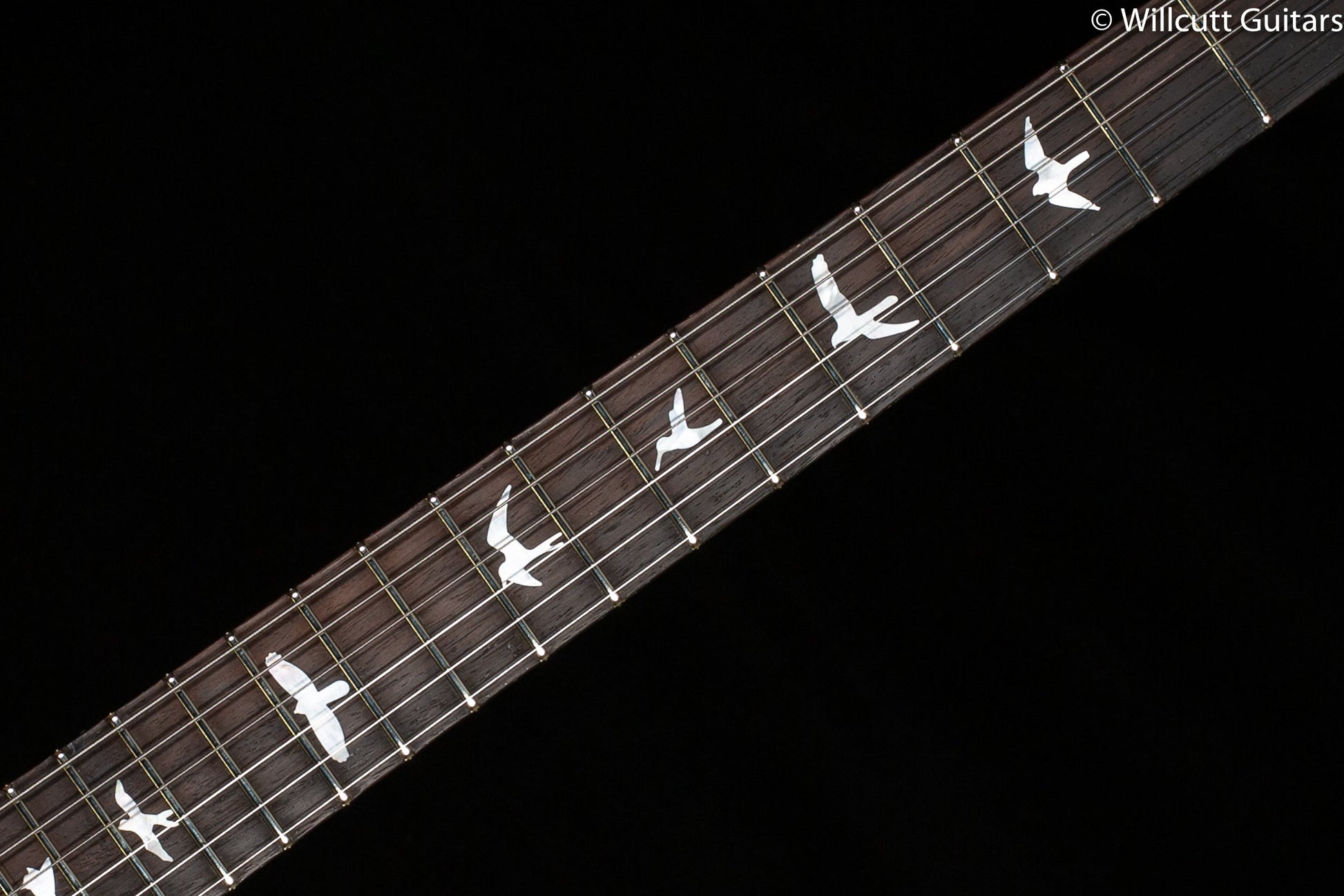PRS DGT Wood Library Edition Charcoal Brazilian Fretboard