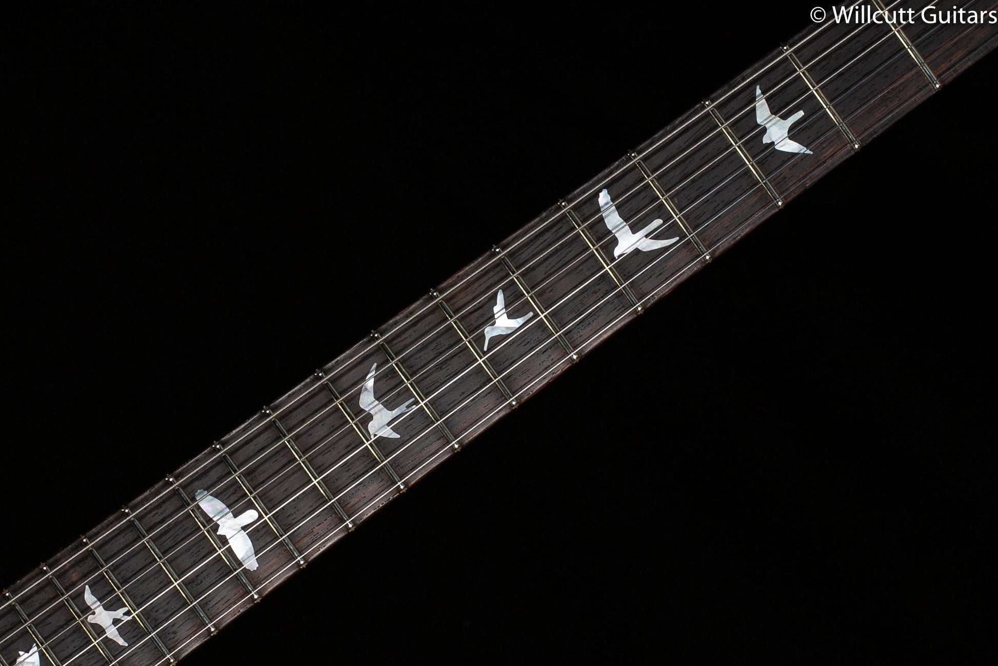 PRS DGT Wood Library Edition Faded Blue Jean Brazilian Fretboard