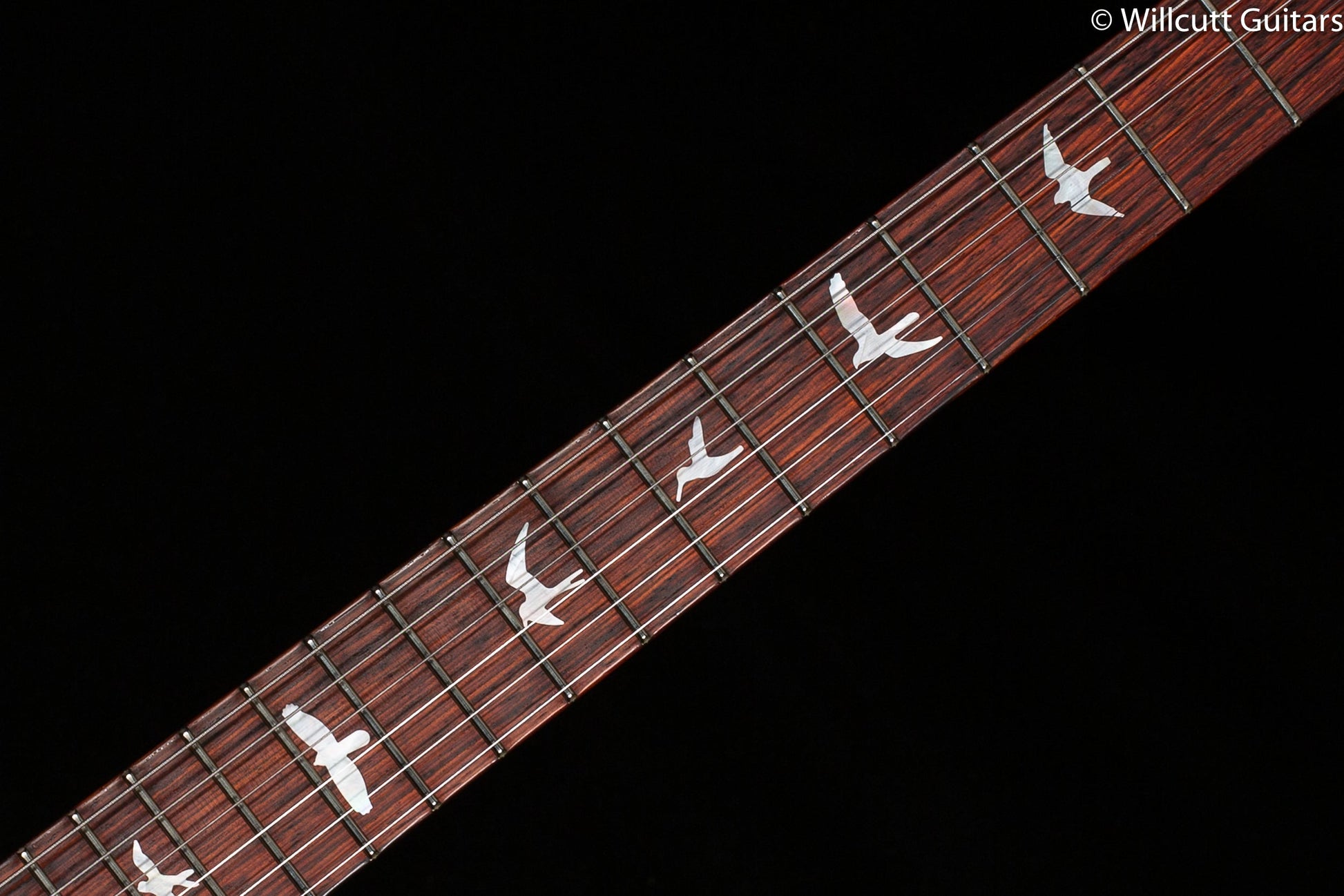 PRS Paul's Guitar Wood Library Edition Black Gold Roasted Maple