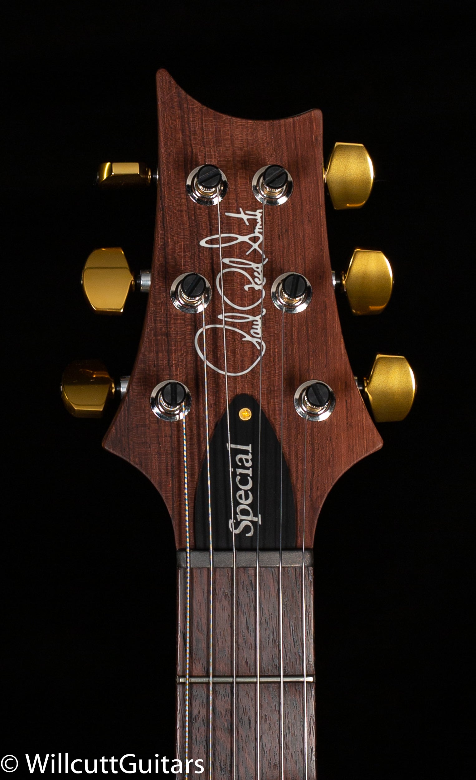 PRS Wood Library Special Semi-hollow Custom Color Quilt Maple 10 Top (890)