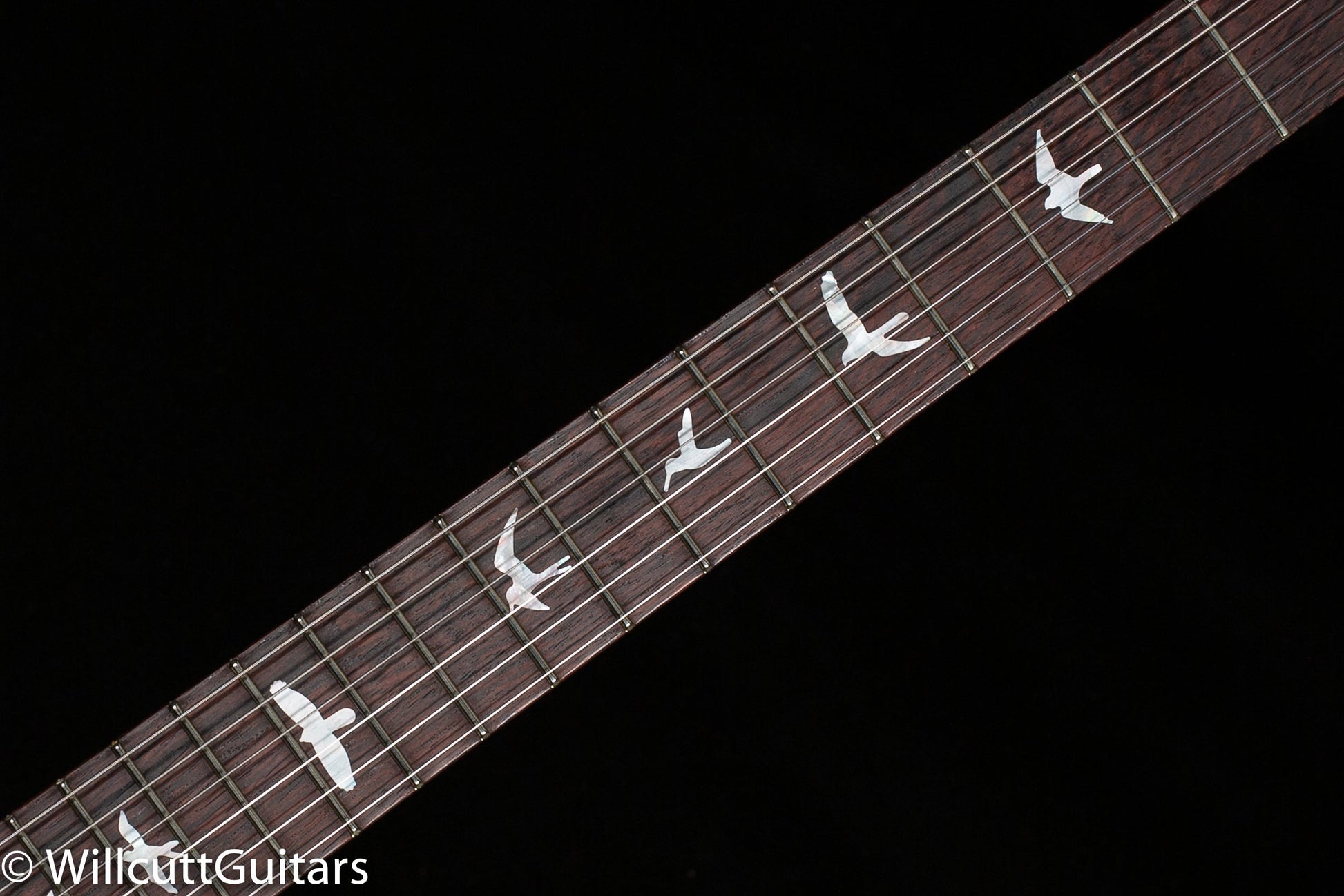 PRS Wood Library Special Semi-hollow Custom Color Quilt Maple 10 Top (890)