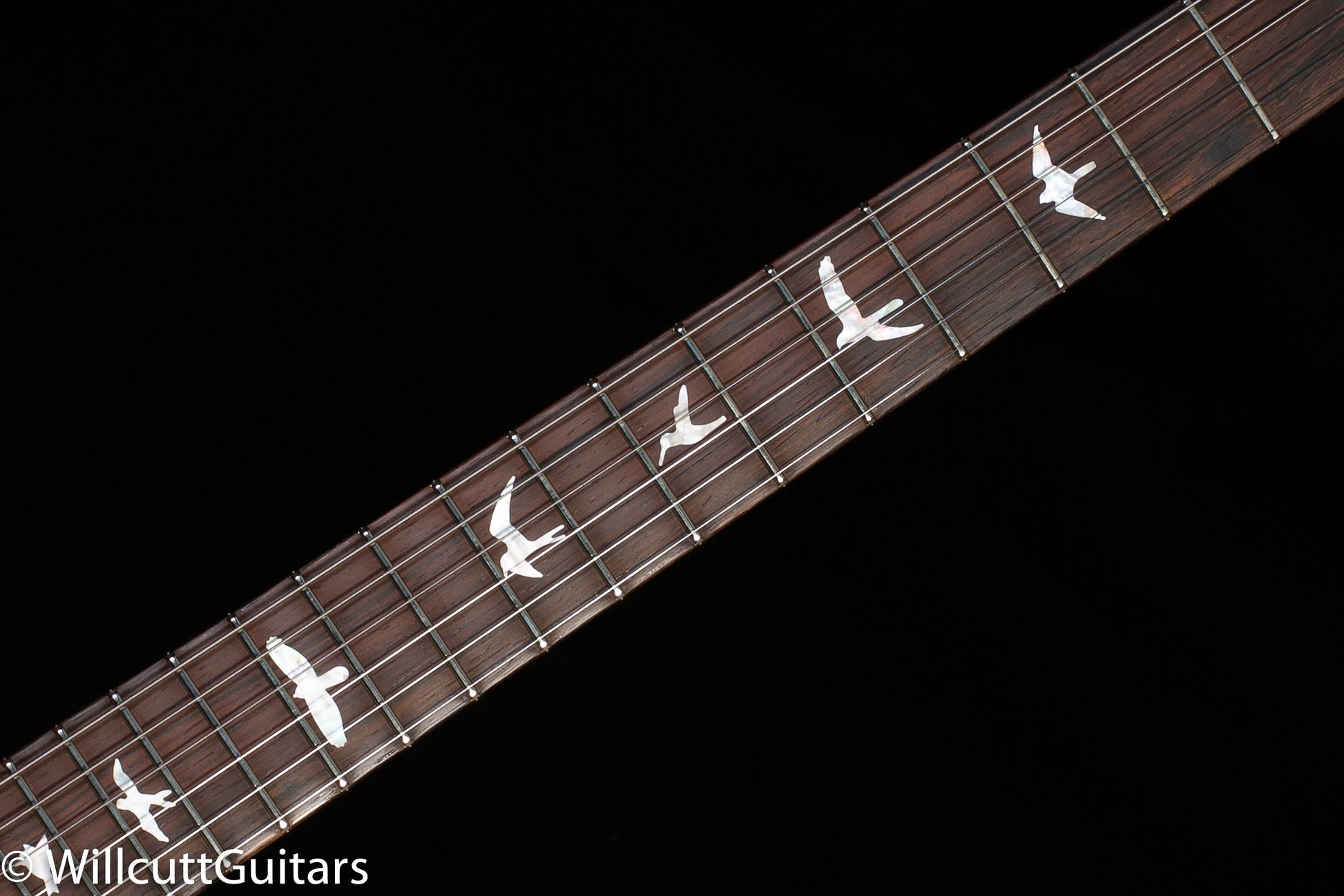 PRS Paul's Guitar Wood Library Edition Autumn Burst