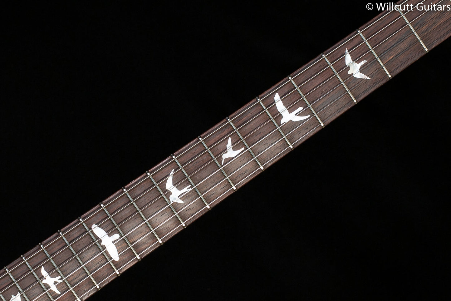 PRS Paul's Guitar Wood Library Edition River Blue Flame Maple
