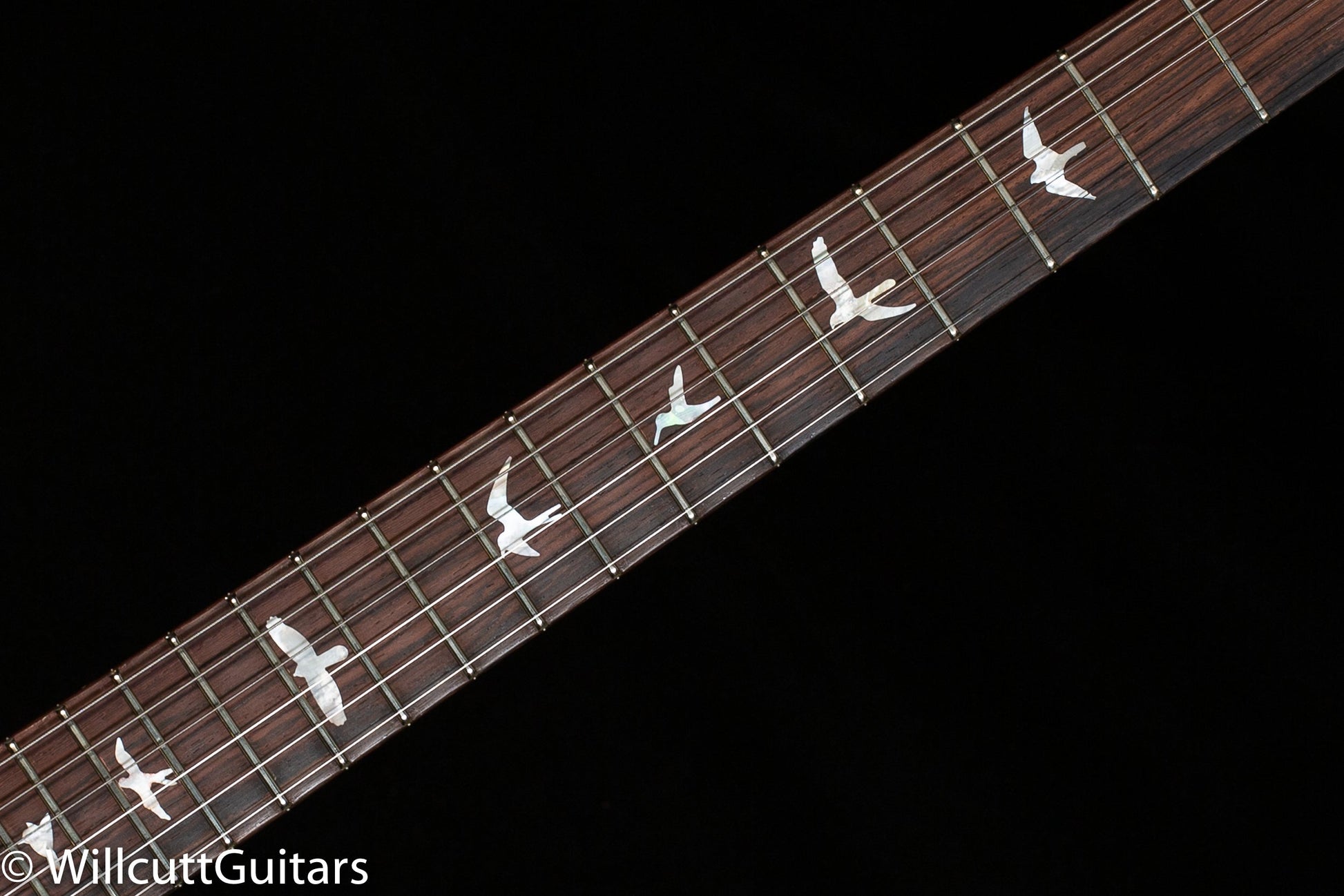 PRS Paul's Guitar Wood Library Edition River Blue