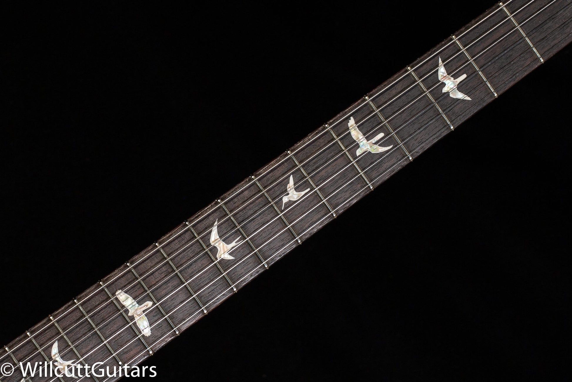 PRS Hollowbody II Piezo Violet Blue Burst 10 Top