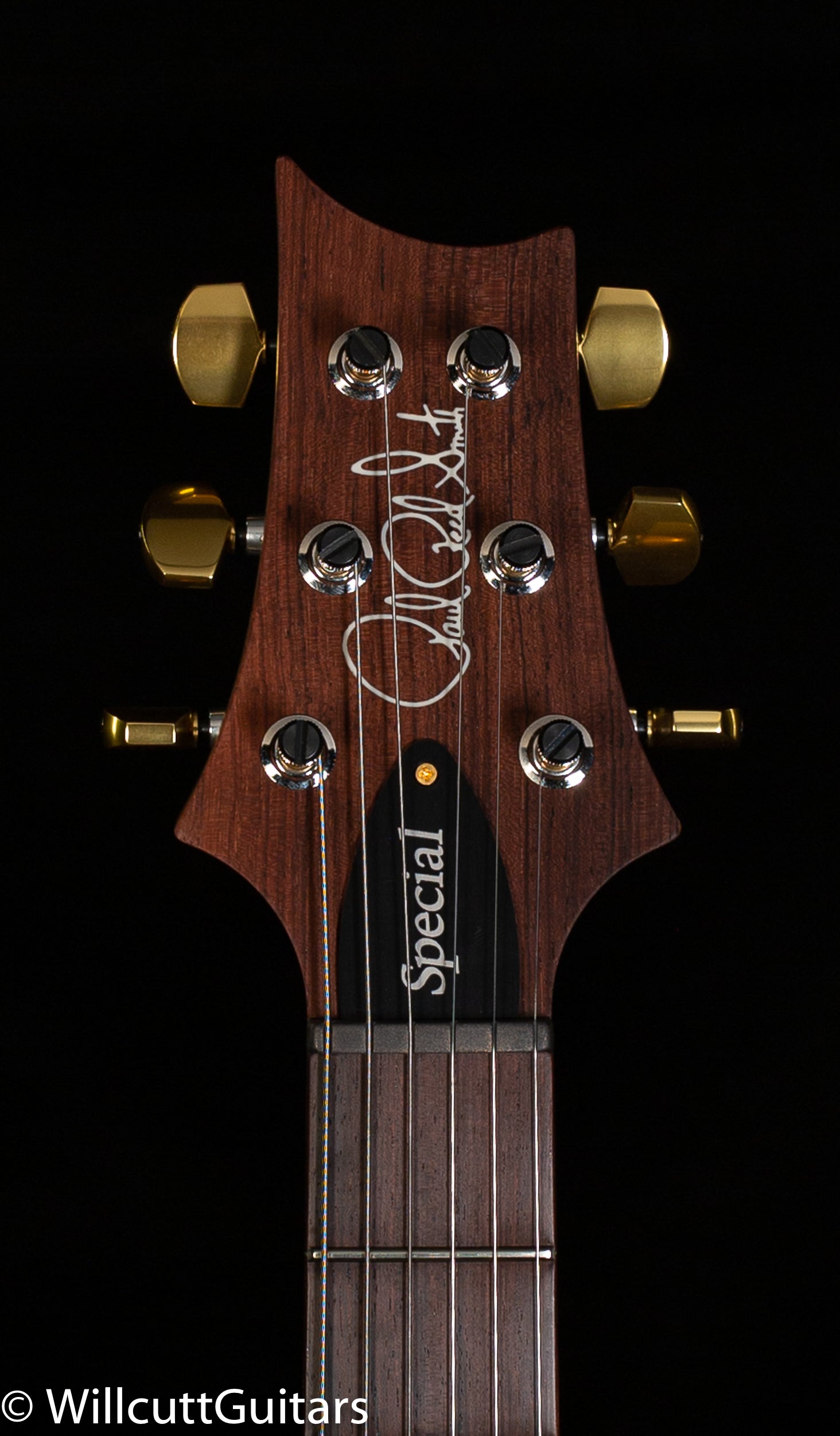 PRS Wood Library Special Semi-Hollow Burnt Maple Leaf Quilt Maple 10 Top
