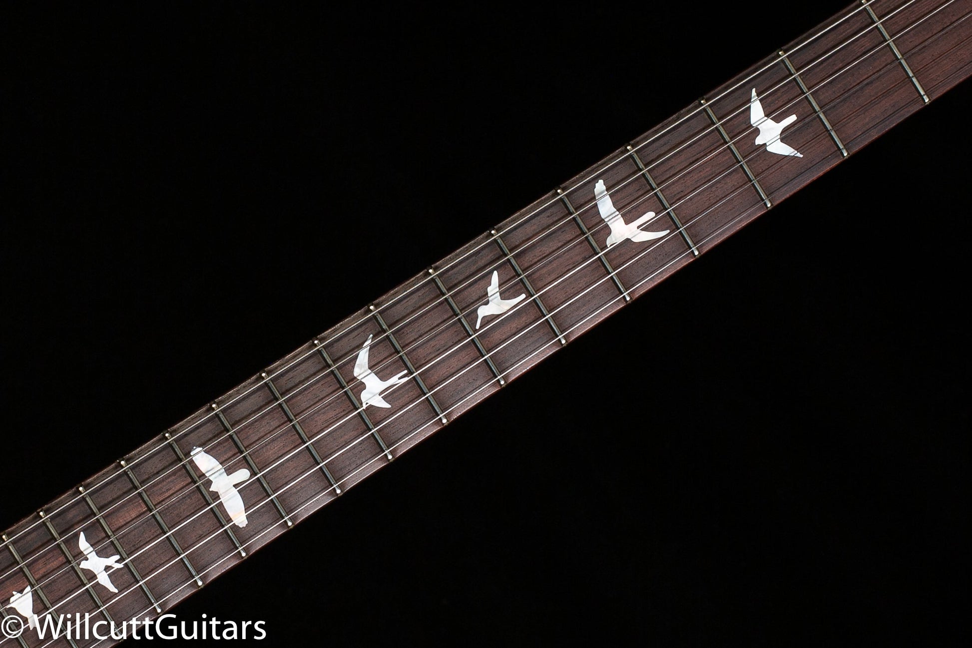 PRS Wood Library Special Semi-Hollow Burnt Maple Leaf Quilt Maple 10 Top