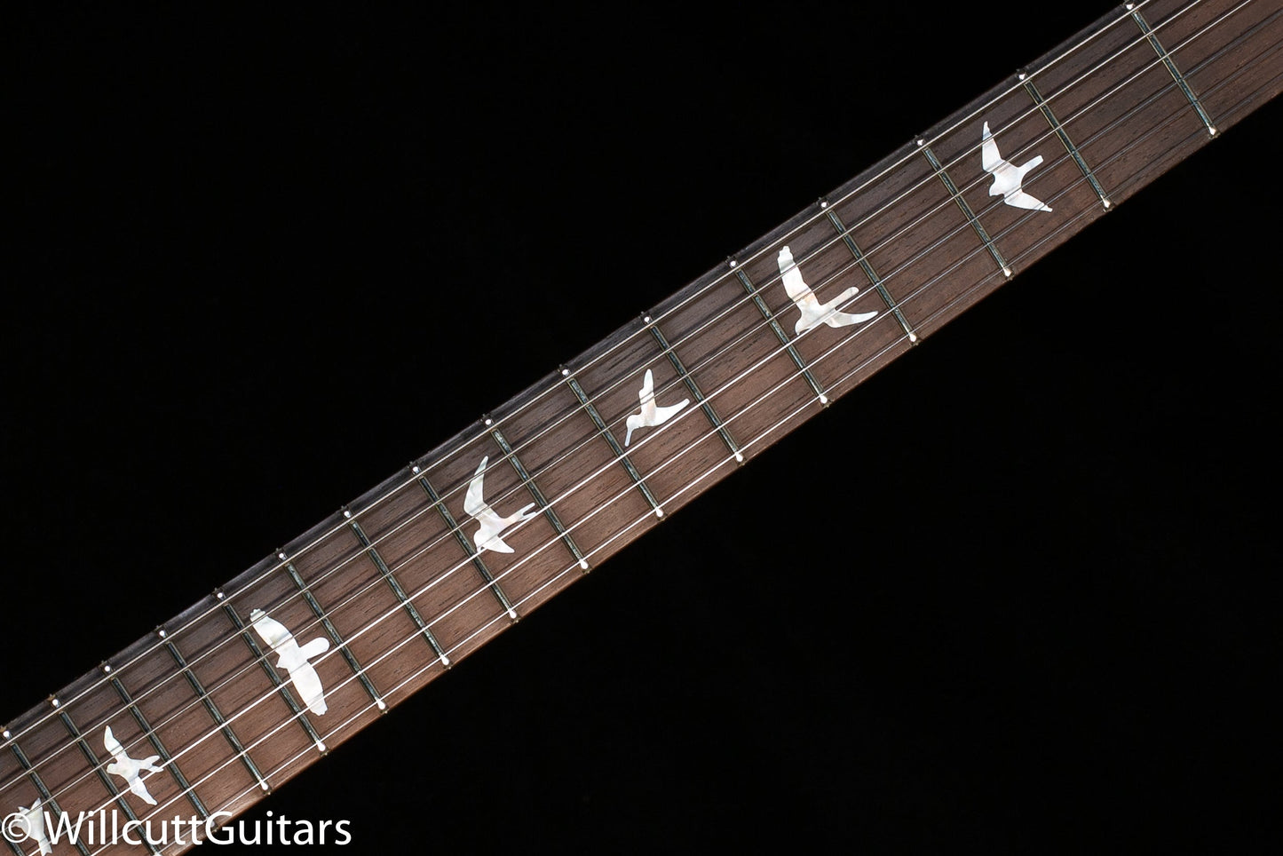 PRS Wood Library DGT Goldtop Brazilian Rosewood