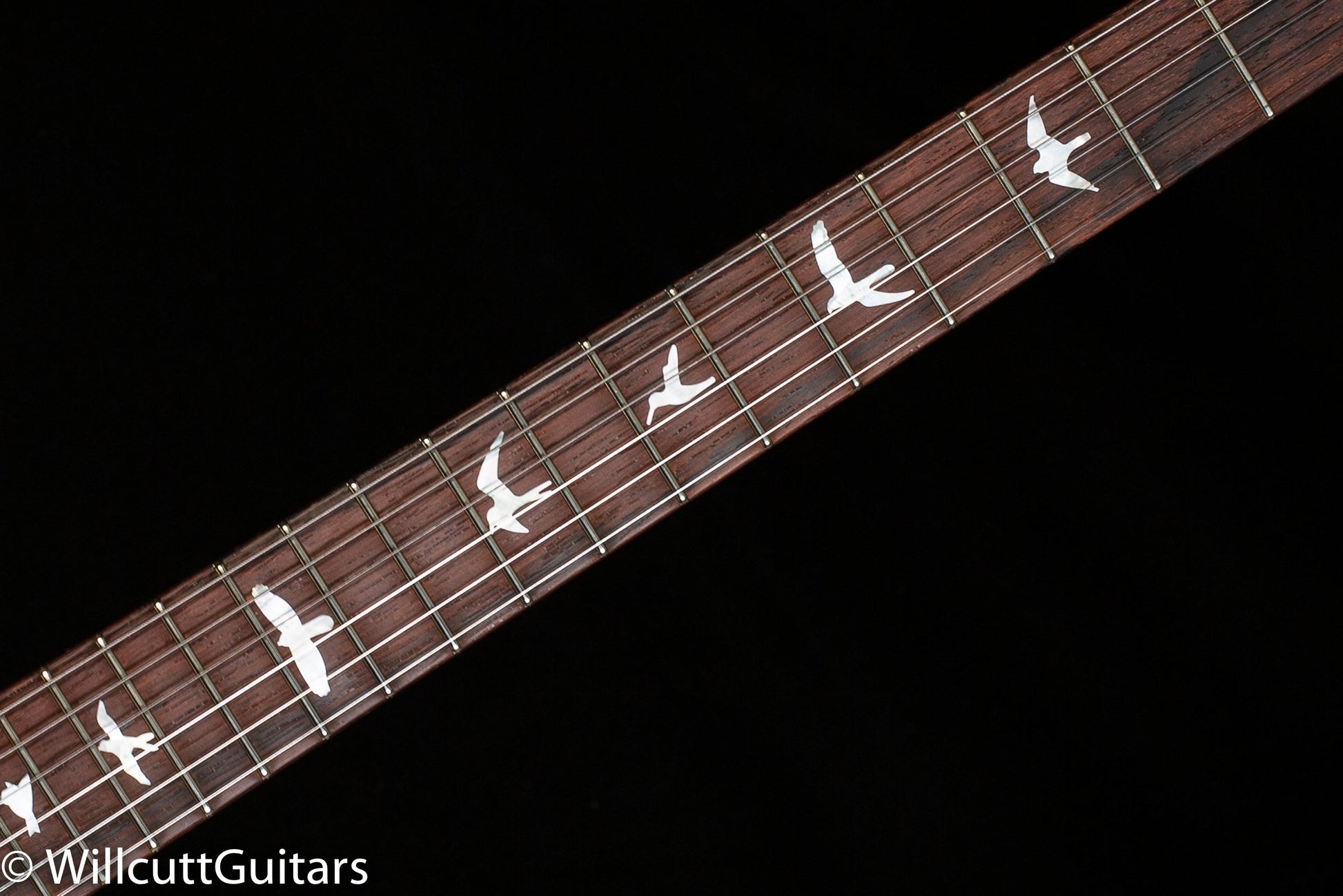 PRS Wood Library Special Semi-hollow Red Tiger Quilt Maple 10 Top