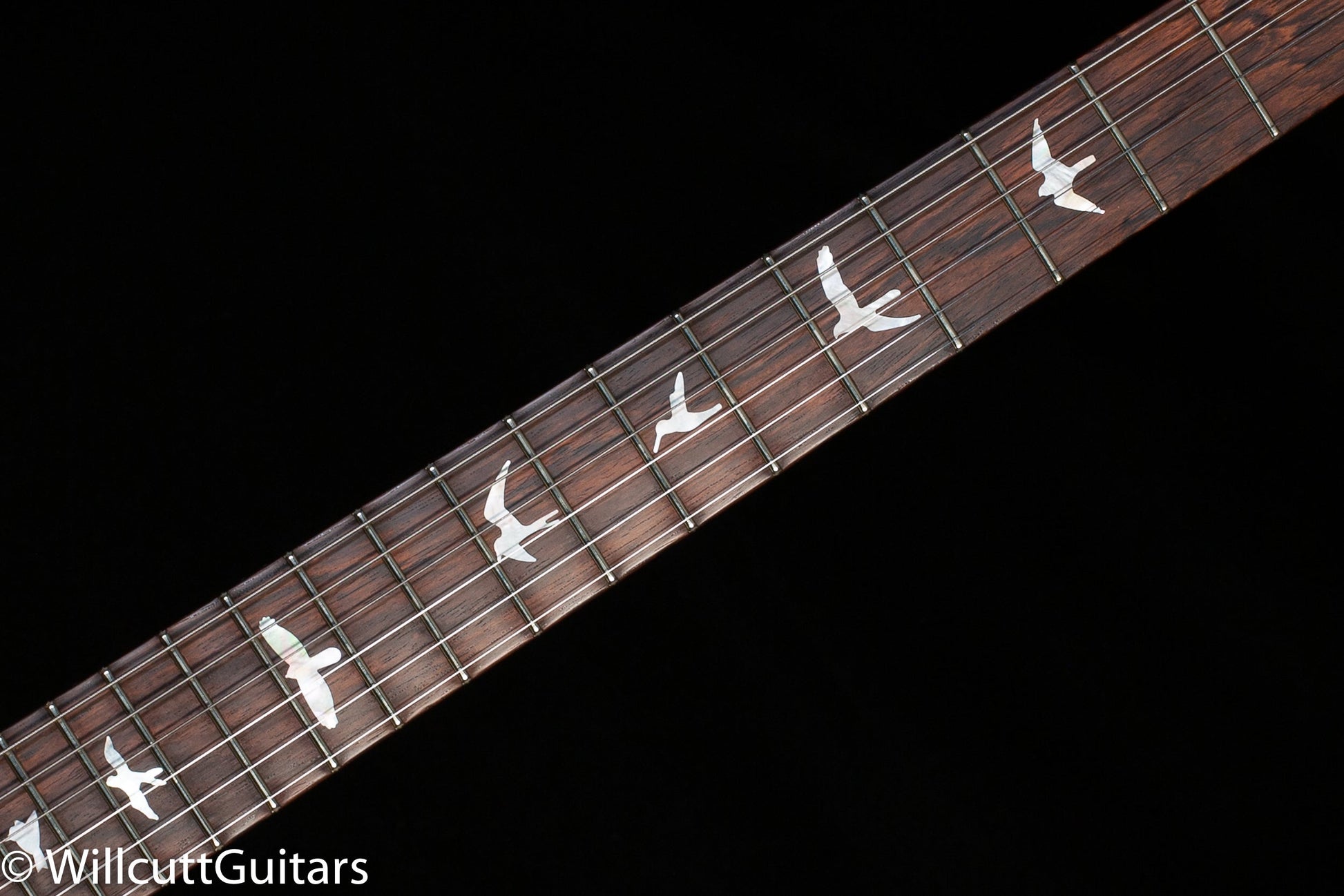 PRS Wood Library Special Semi-hollow Honey Quilt Maple 10 Top