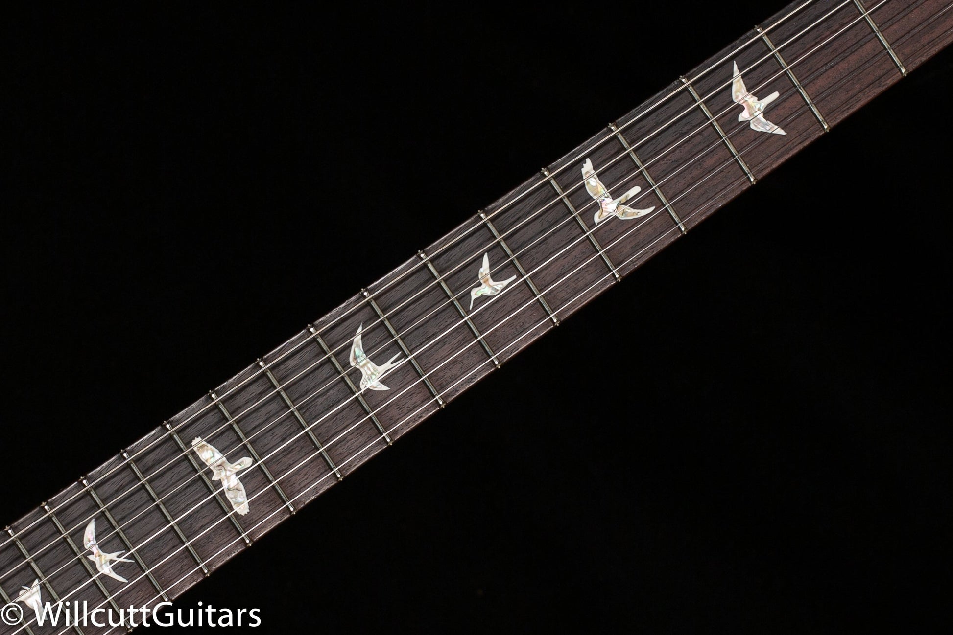 PRS Hollowbody II Piezo Aquamarine 10 Top