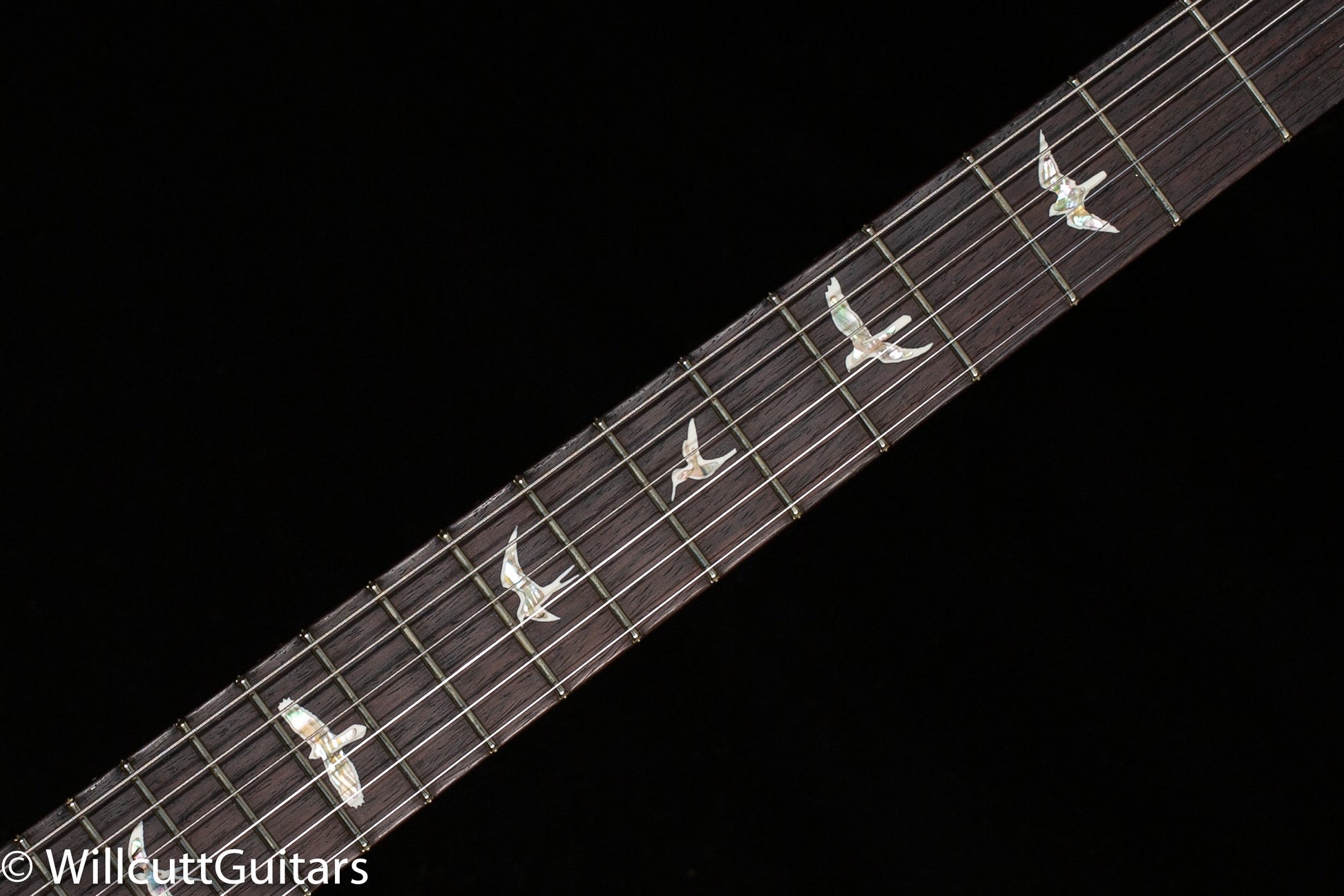 PRS Custom 24 Forest Green Metallic