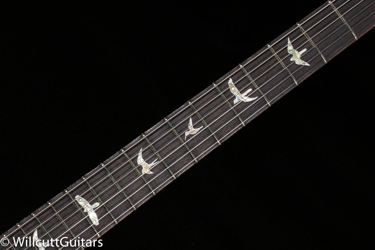 PRS DGT Gold Top Birds