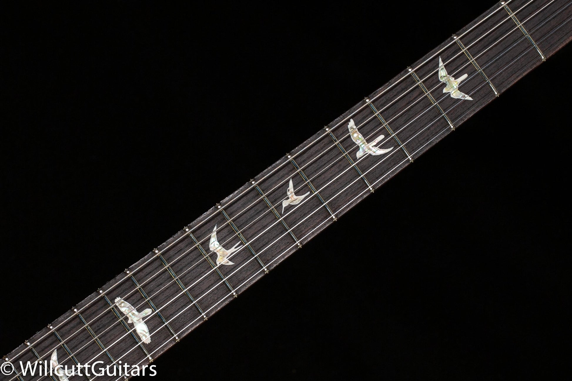 PRS DGT Gold Top Birds