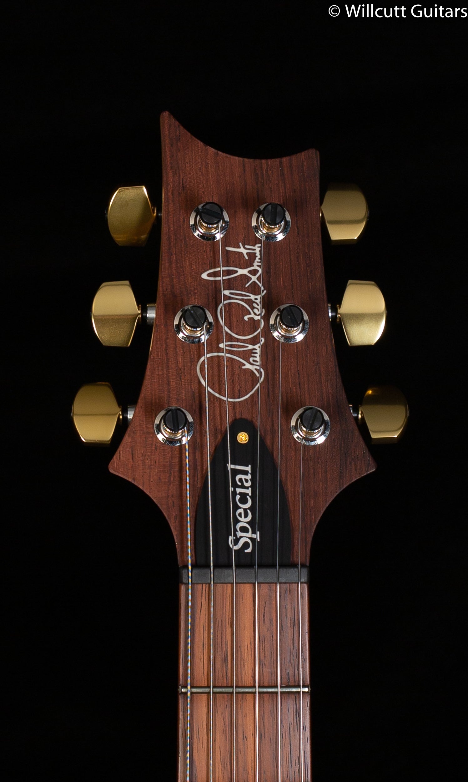 PRS Wood Library Special Semi-Hollow Burnt Maple Leaf Quilt Maple 10 Top