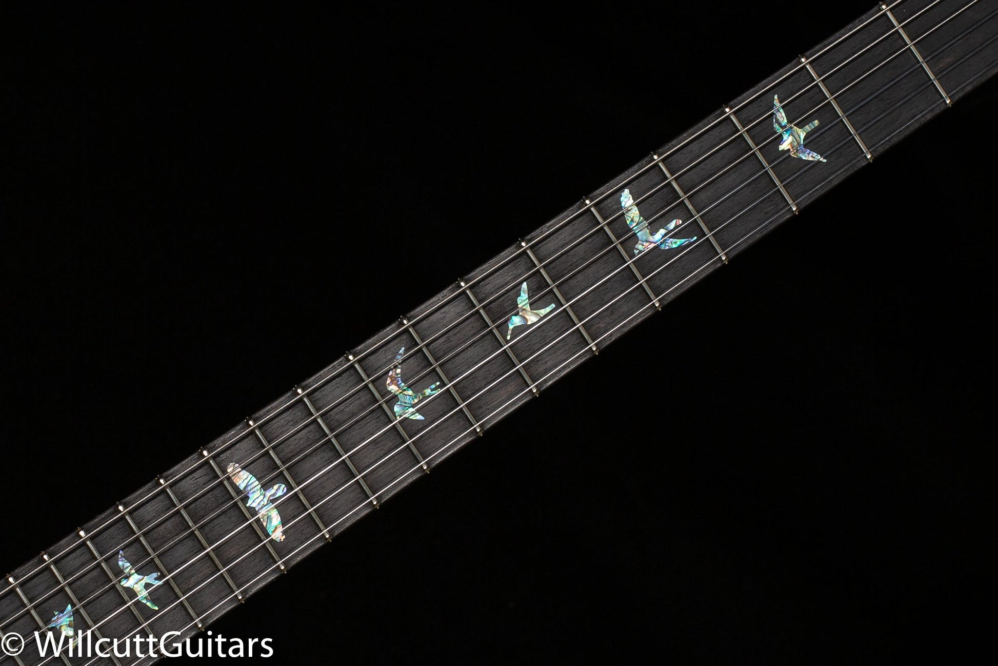 PRS 35th Anniversary Custom 24 Blue Fade Artist Package