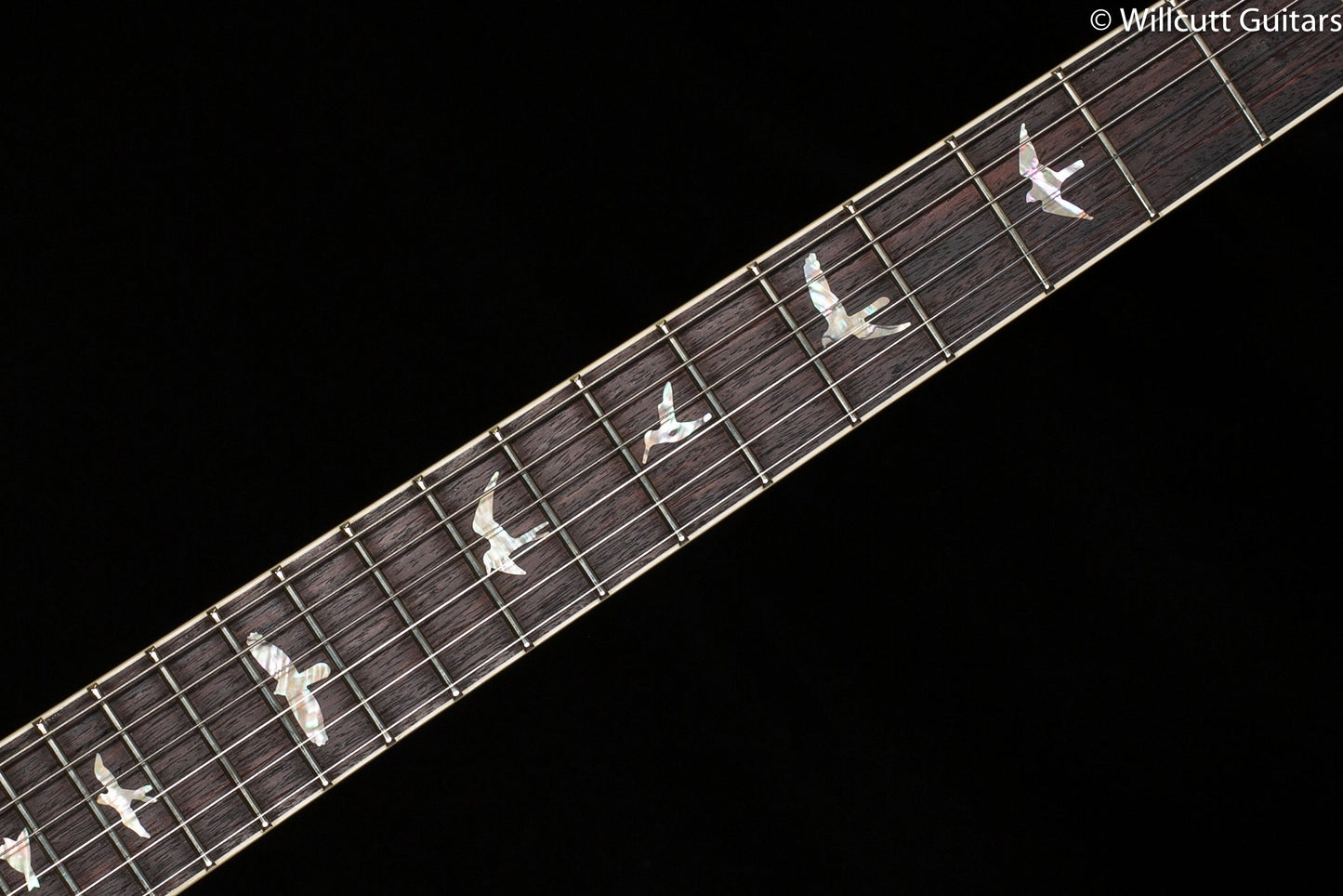 PRS McCarty 594 Faded Whale Blue 10 Top