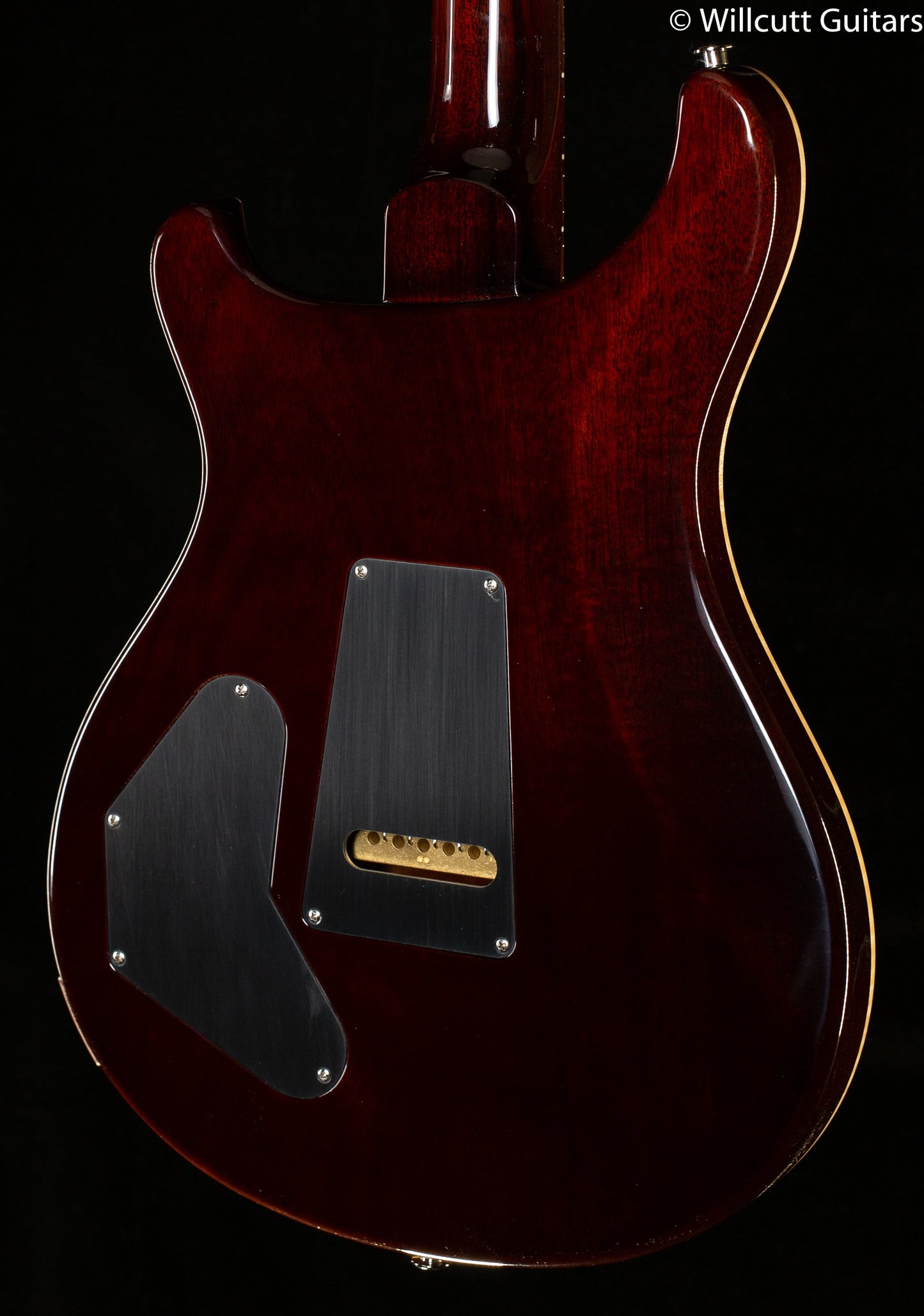 PRS DGT Gold Top Birds
