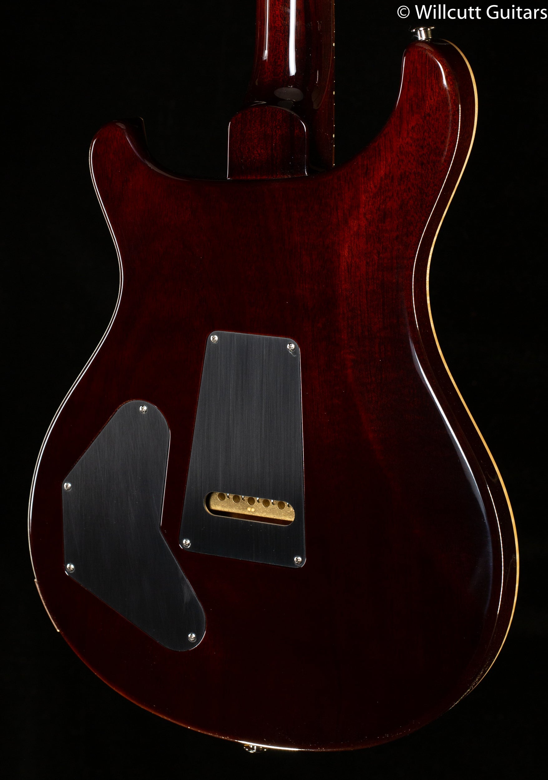 PRS DGT Gold Top Birds
