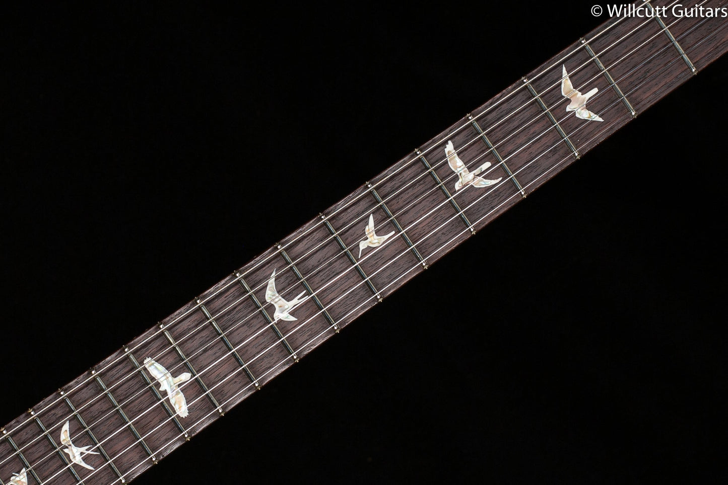 PRS DGT Gold Top Birds