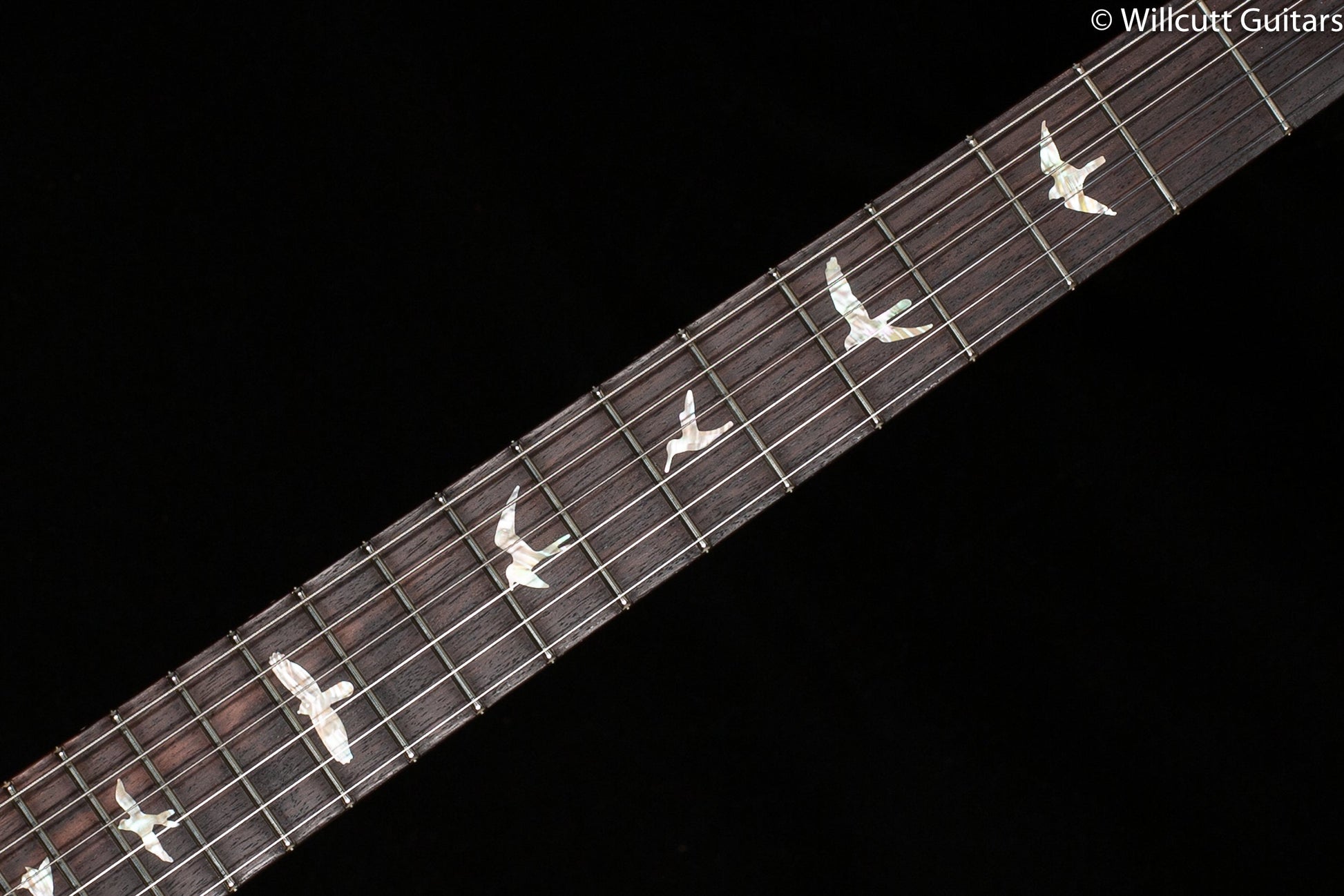 PRS 35th Anniversary Custom 24  Emerald 10 Top