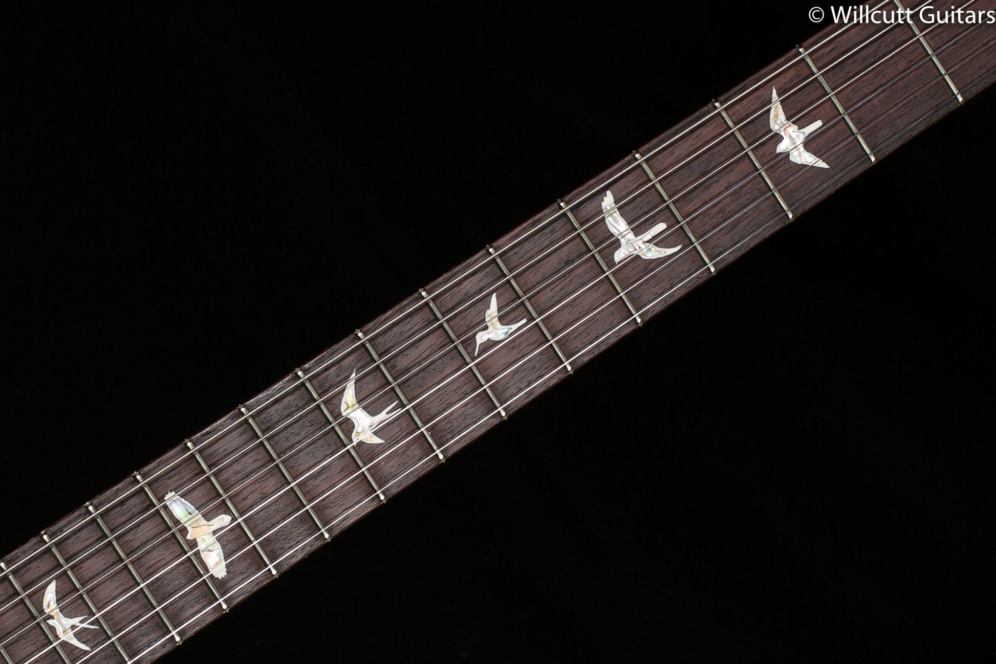 PRS Hollowbody II Piezo Cobalt Blue 10 Top