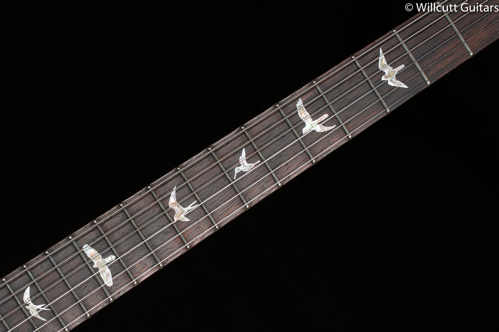 PRS Wood Library DGT Obsidian Roasted Maple