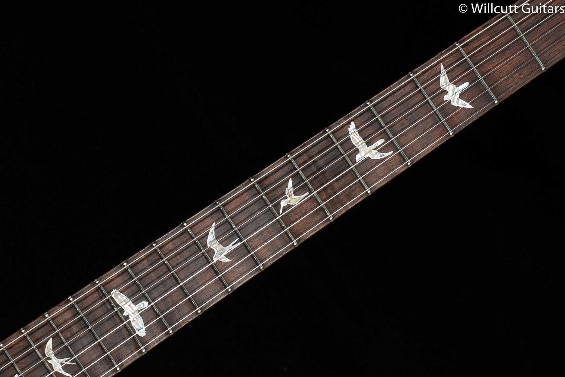 PRS Wood Library DGT Copperhead Burst