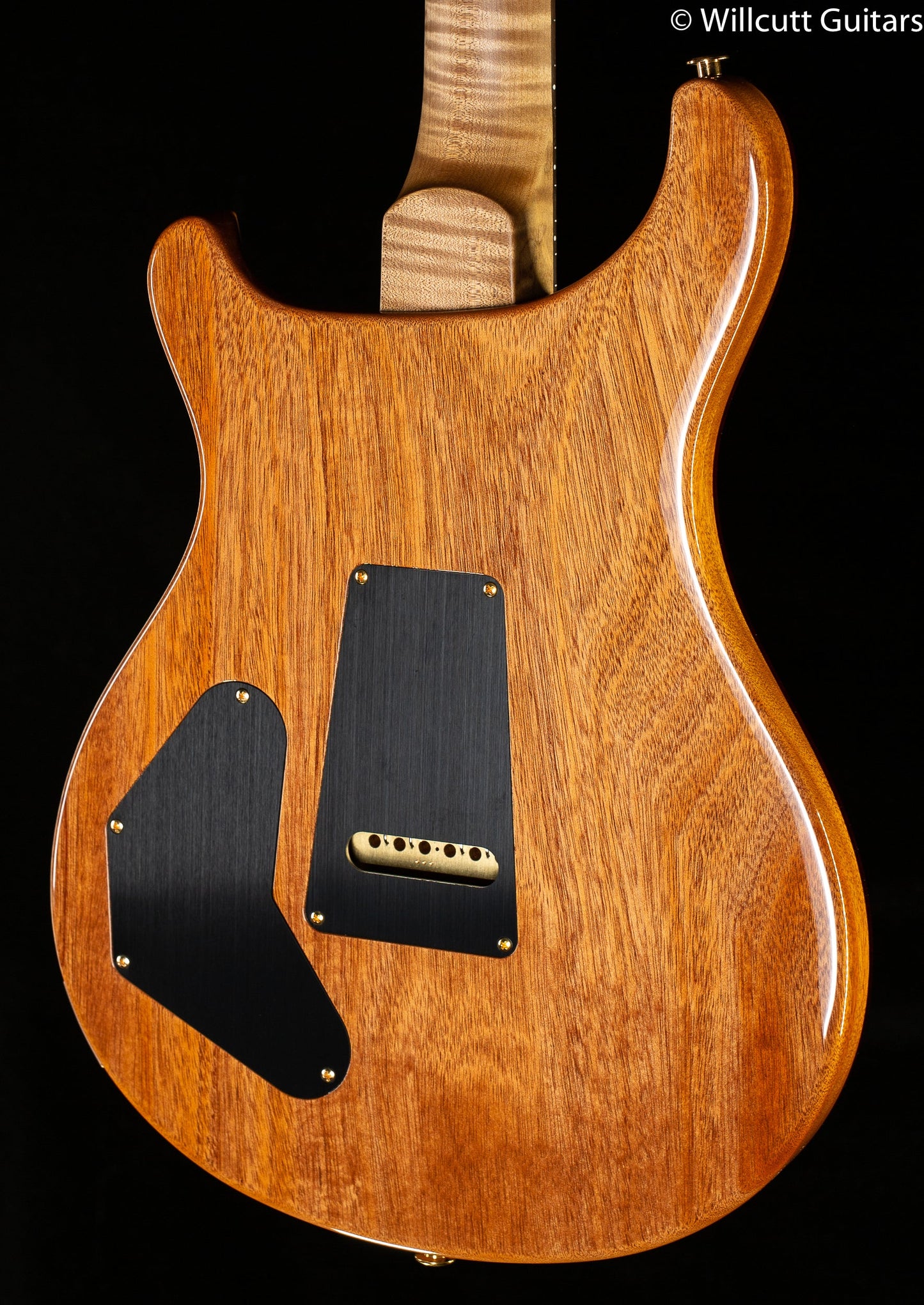 PRS Wood Library DGT Custom Color
