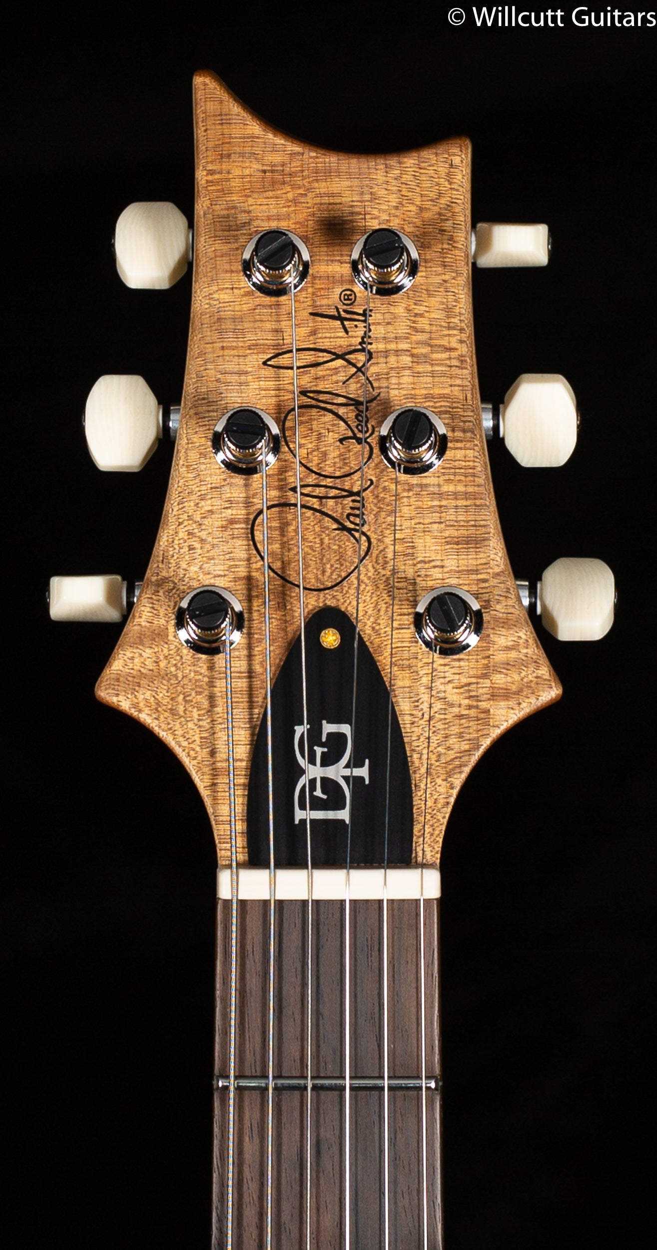 PRS Wood Library DGT Custom Color