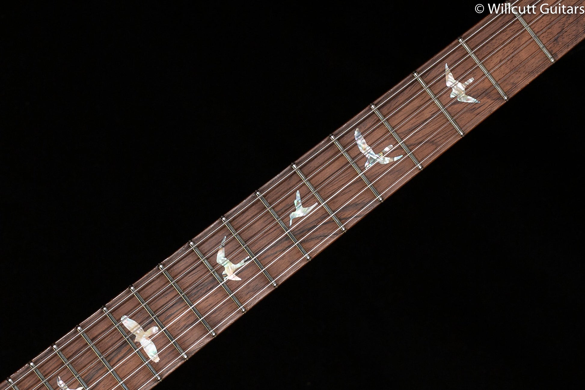 PRS Wood Library Modern Eagle V Custom Color Copperhead Wrap Burst Stained Flame Maple Neck