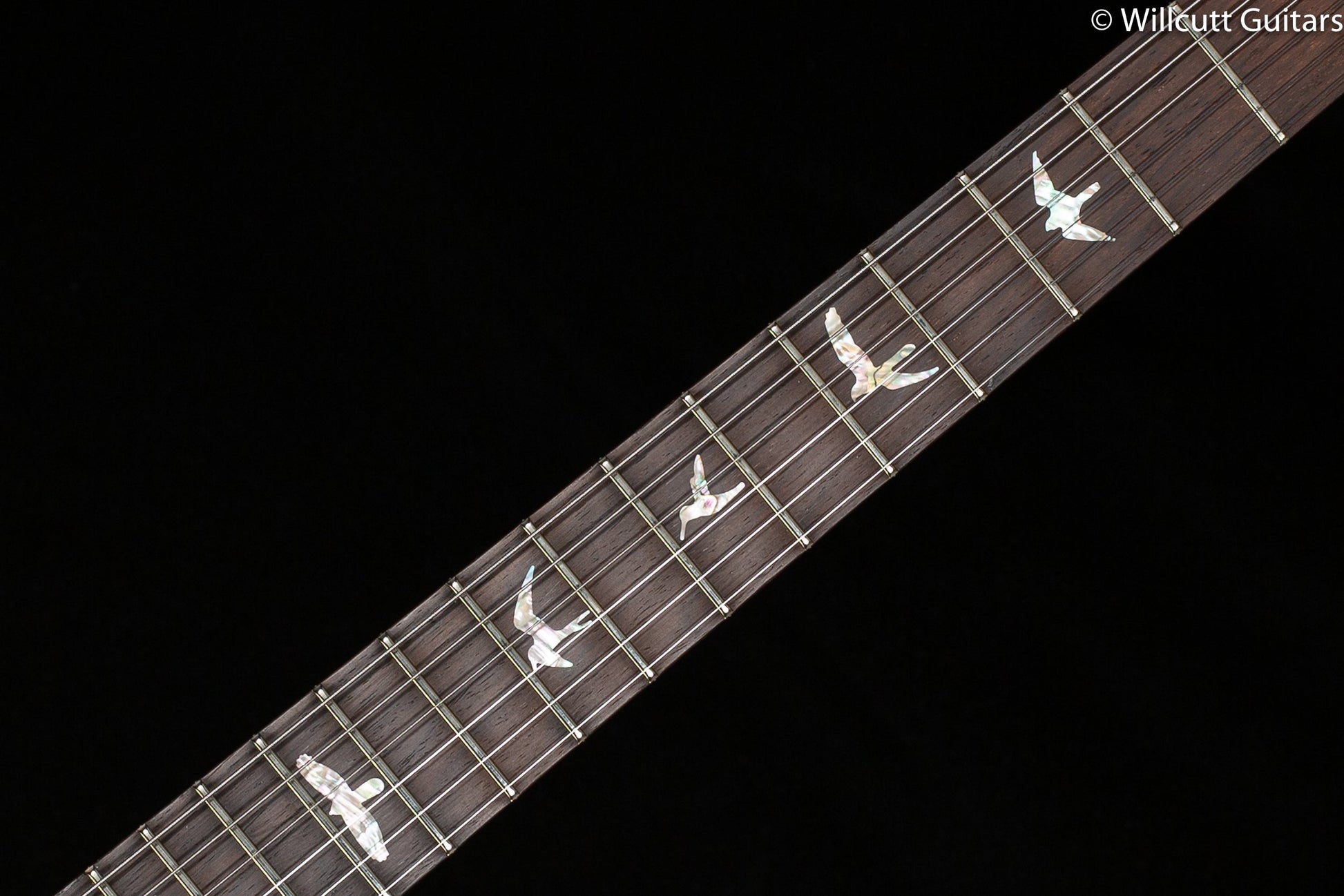 PRS Modern Eagle V Wood Library Edition Artist One-Piece Quilt Trampas Green