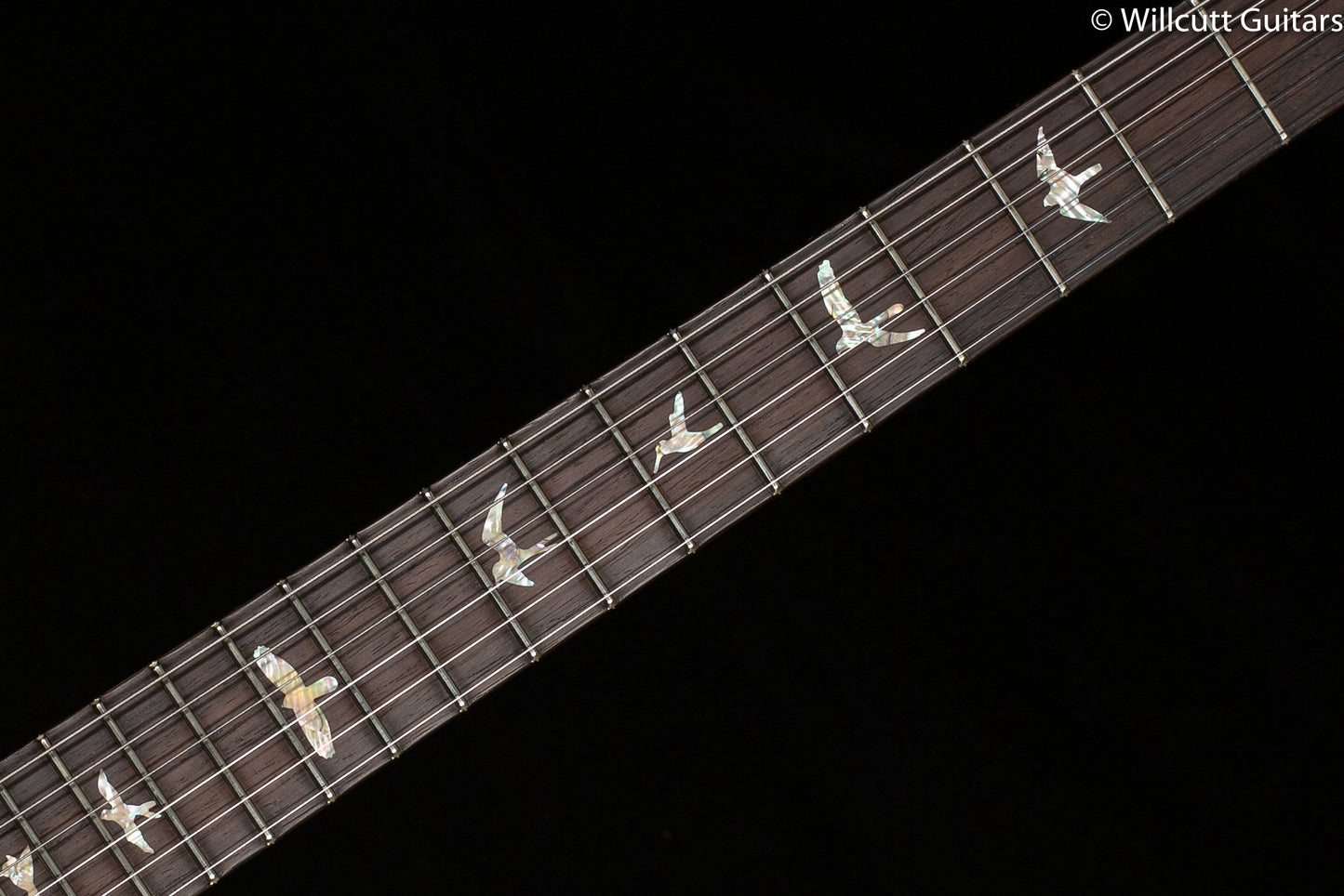 PRS Wood Library Modern Eagle V, Artist Quilt, Black Gold (345)