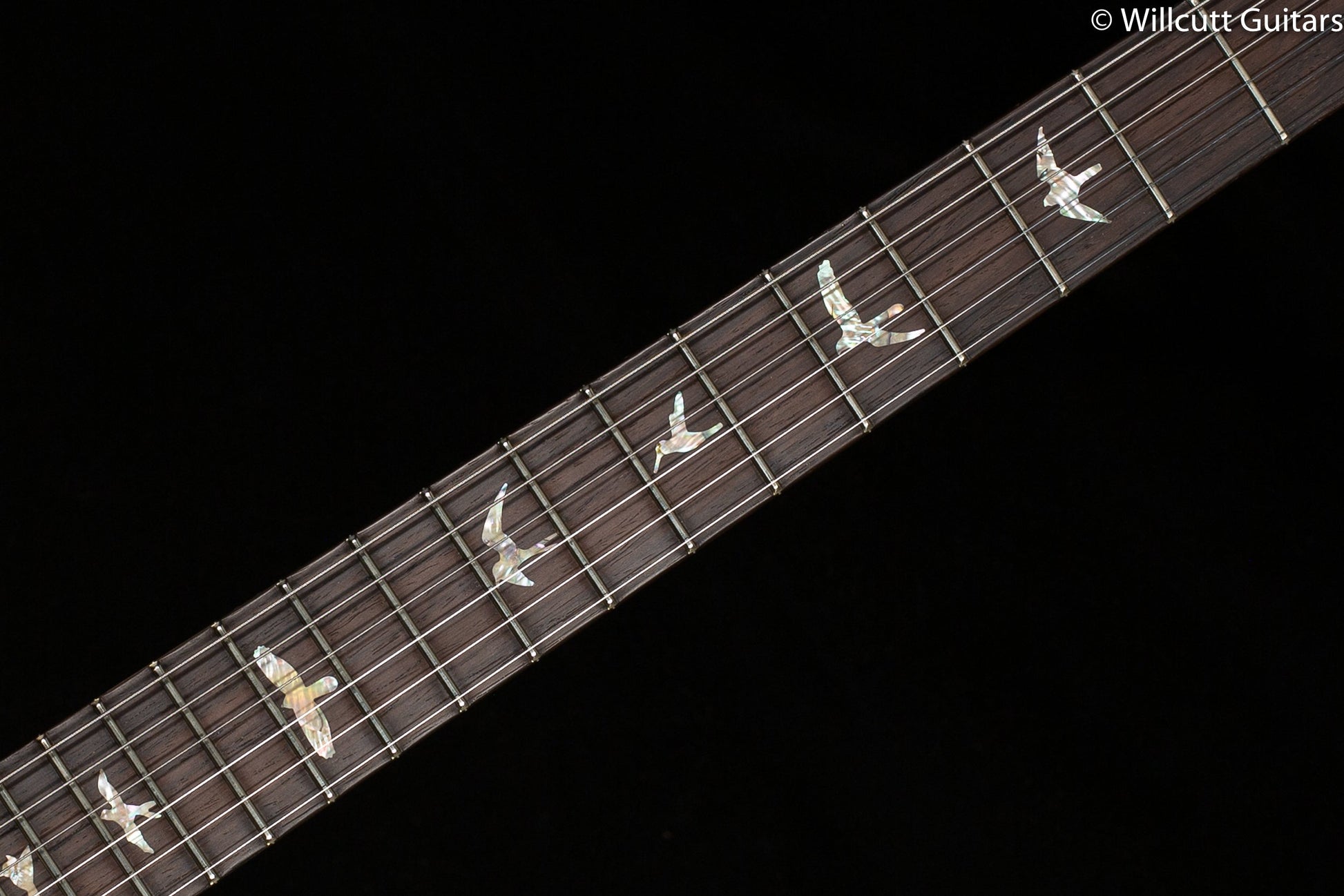 PRS Wood Library Modern Eagle V, Artist Quilt, Black Gold (345)