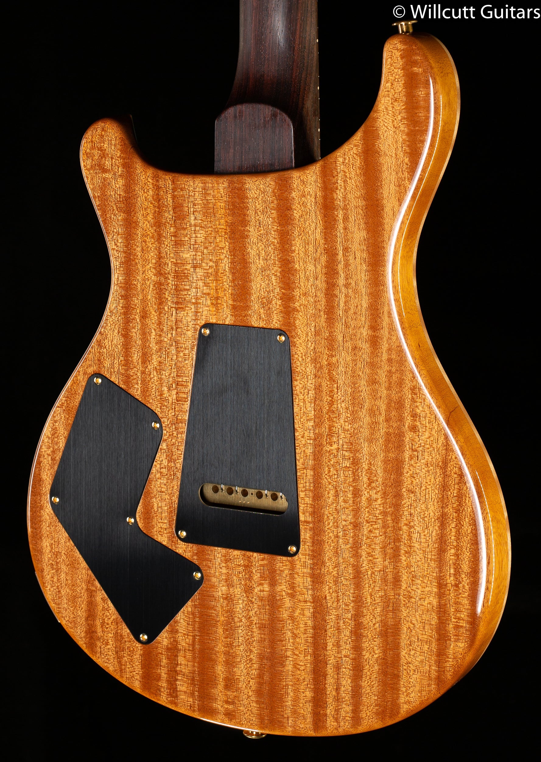 PRS Wood Library Modern Eagle V, Artist Quilt Aquableux (346)