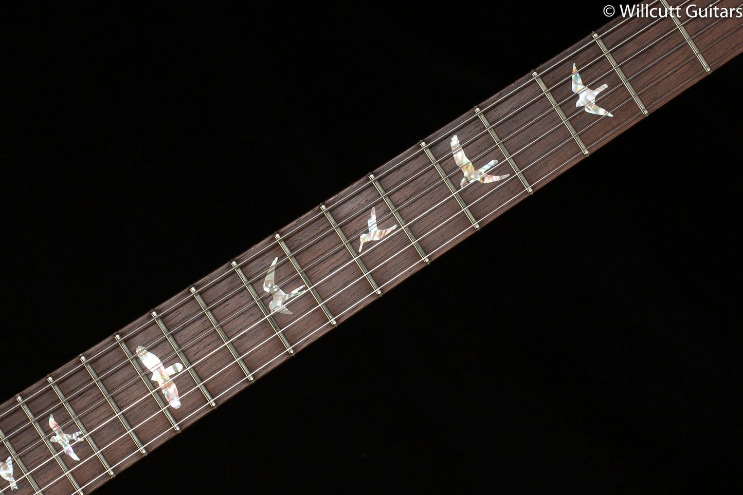 PRS Wood Library Modern Eagle V, Artist Quilt Aquableux (346)