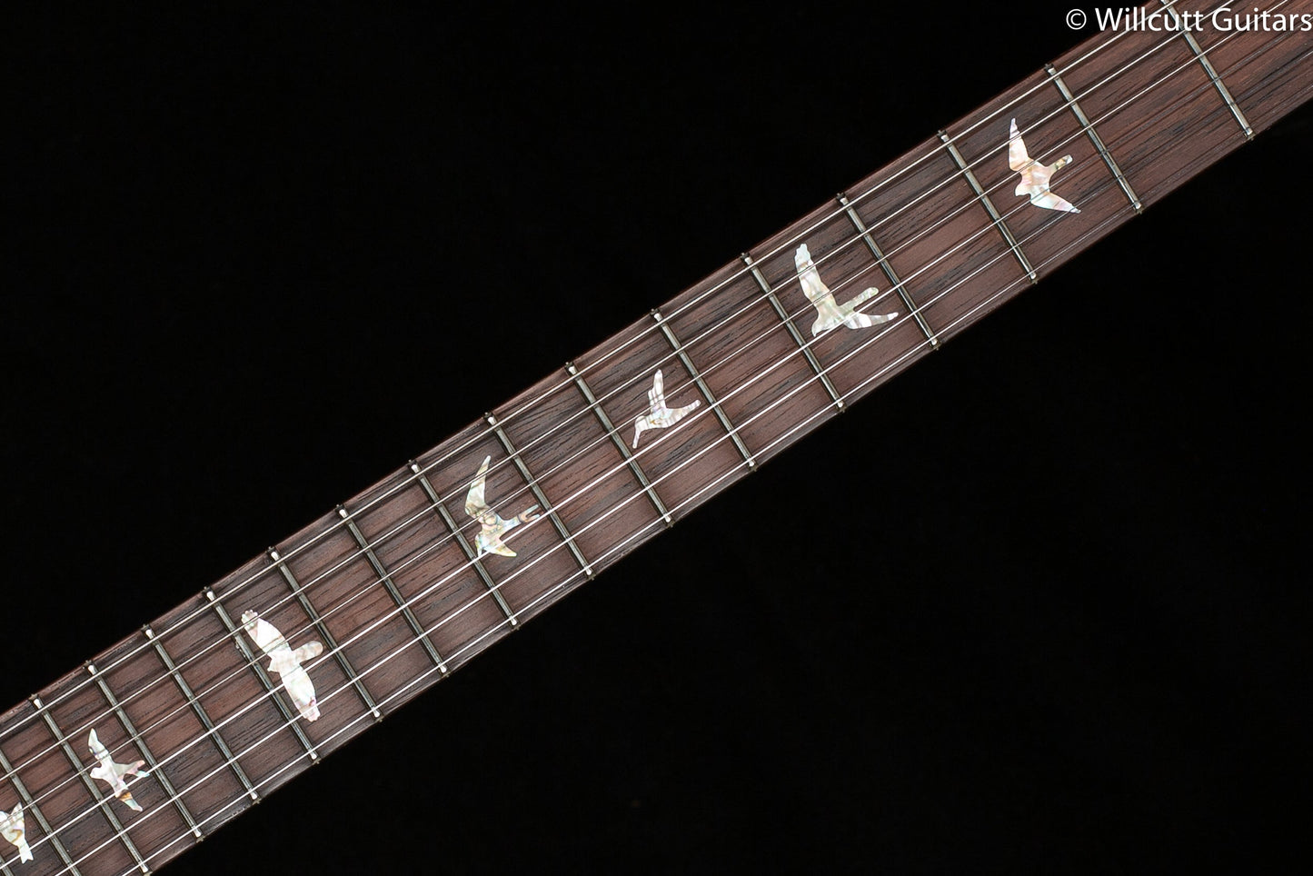 PRS Modern Eagle V Wood Library Edition Artist One-Piece Quilt Trampas Green
