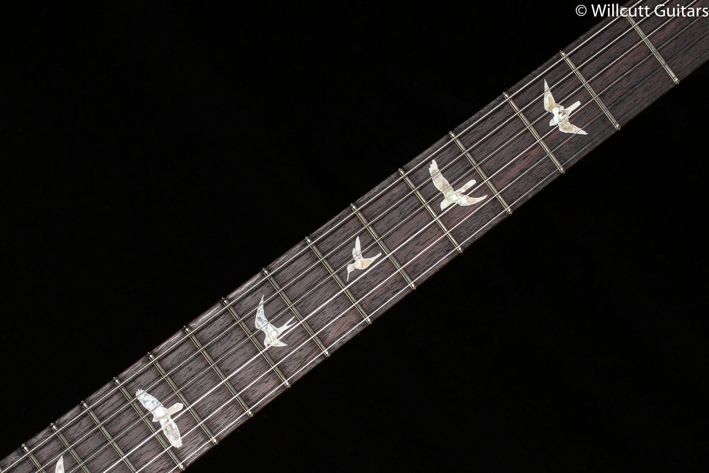 PRS Custom 24 Aquamarine 10 Top