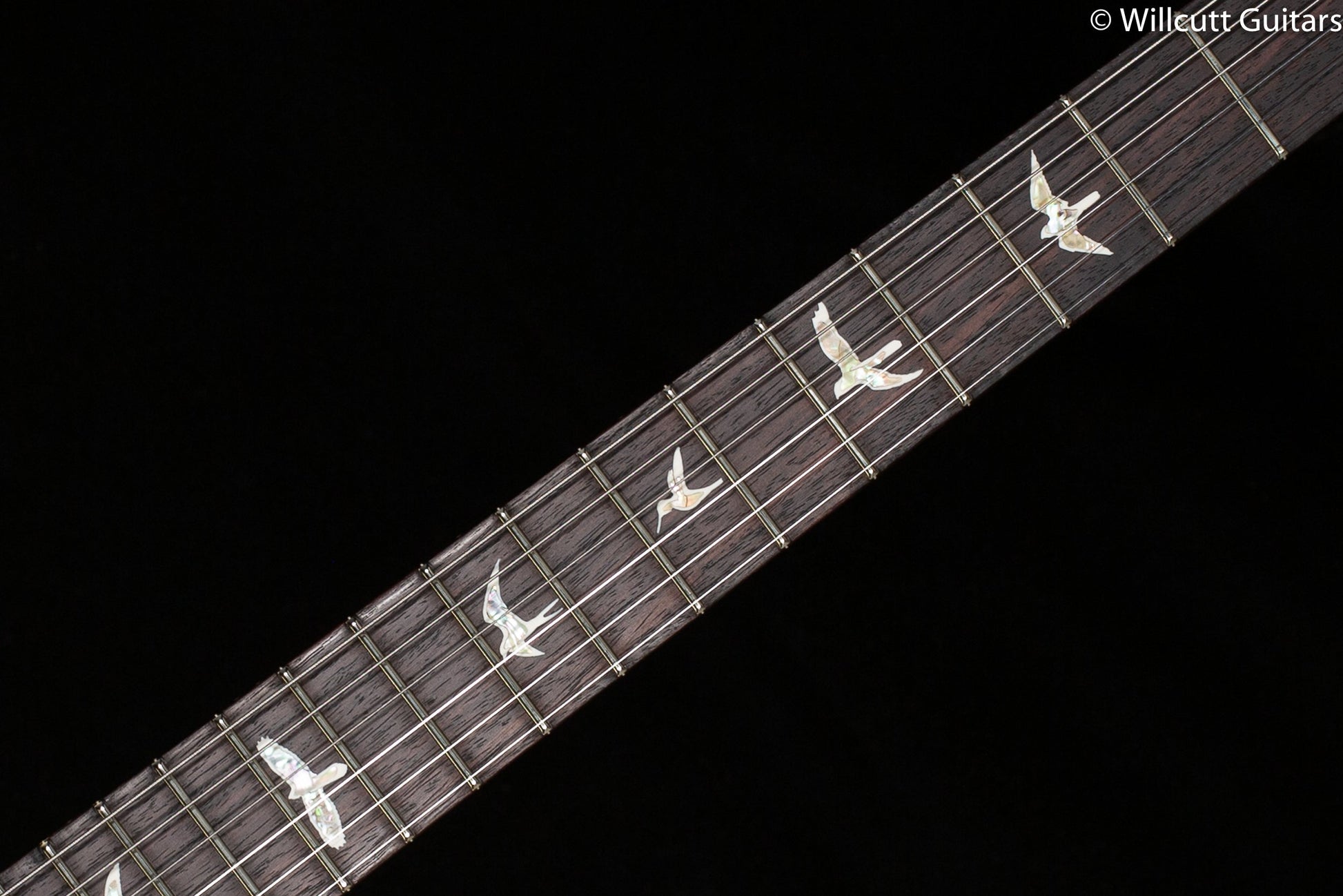 PRS Custom 24 Aquamarine 10 Top